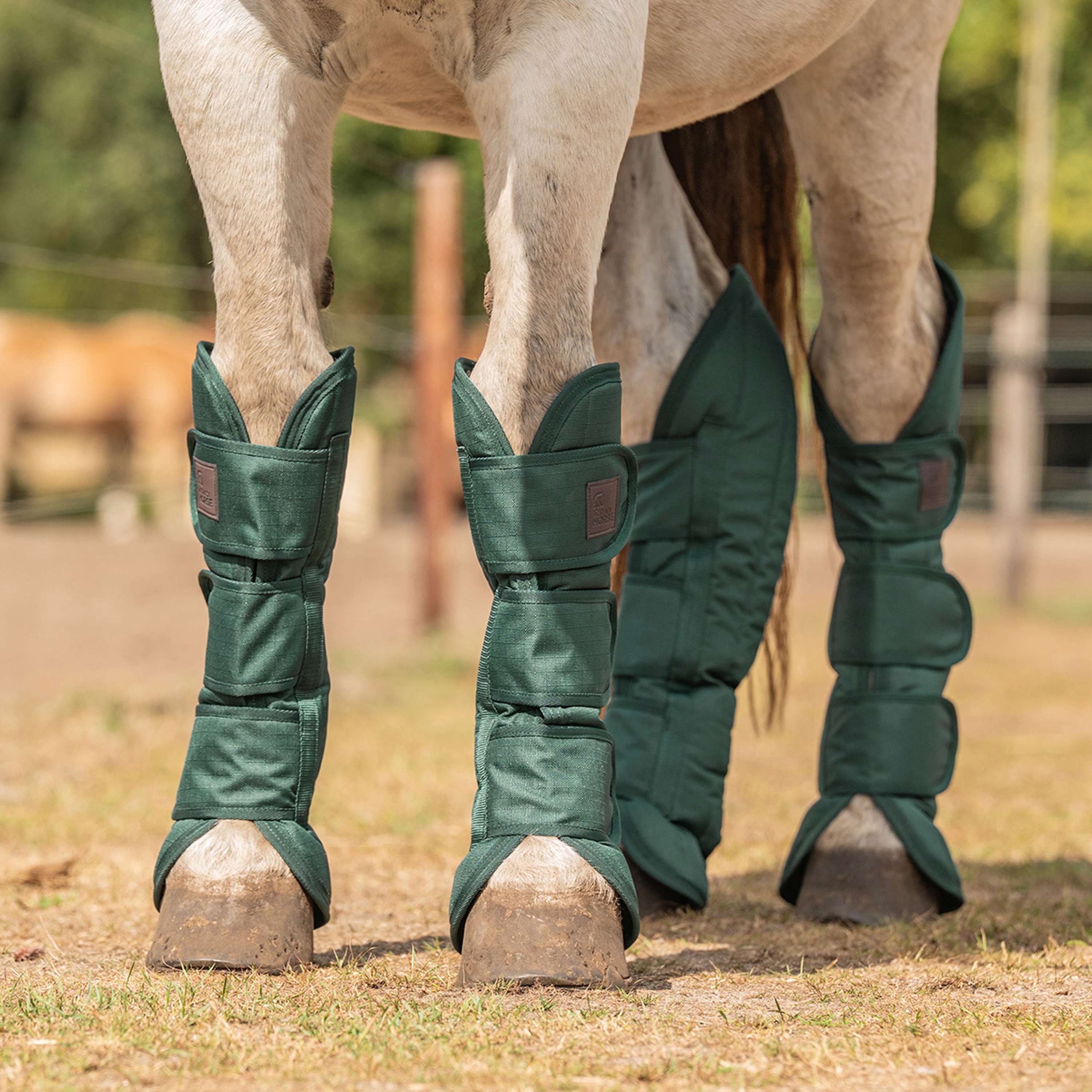 Agradi Horse Guêtres de Transport 1200D Vert - Image 5