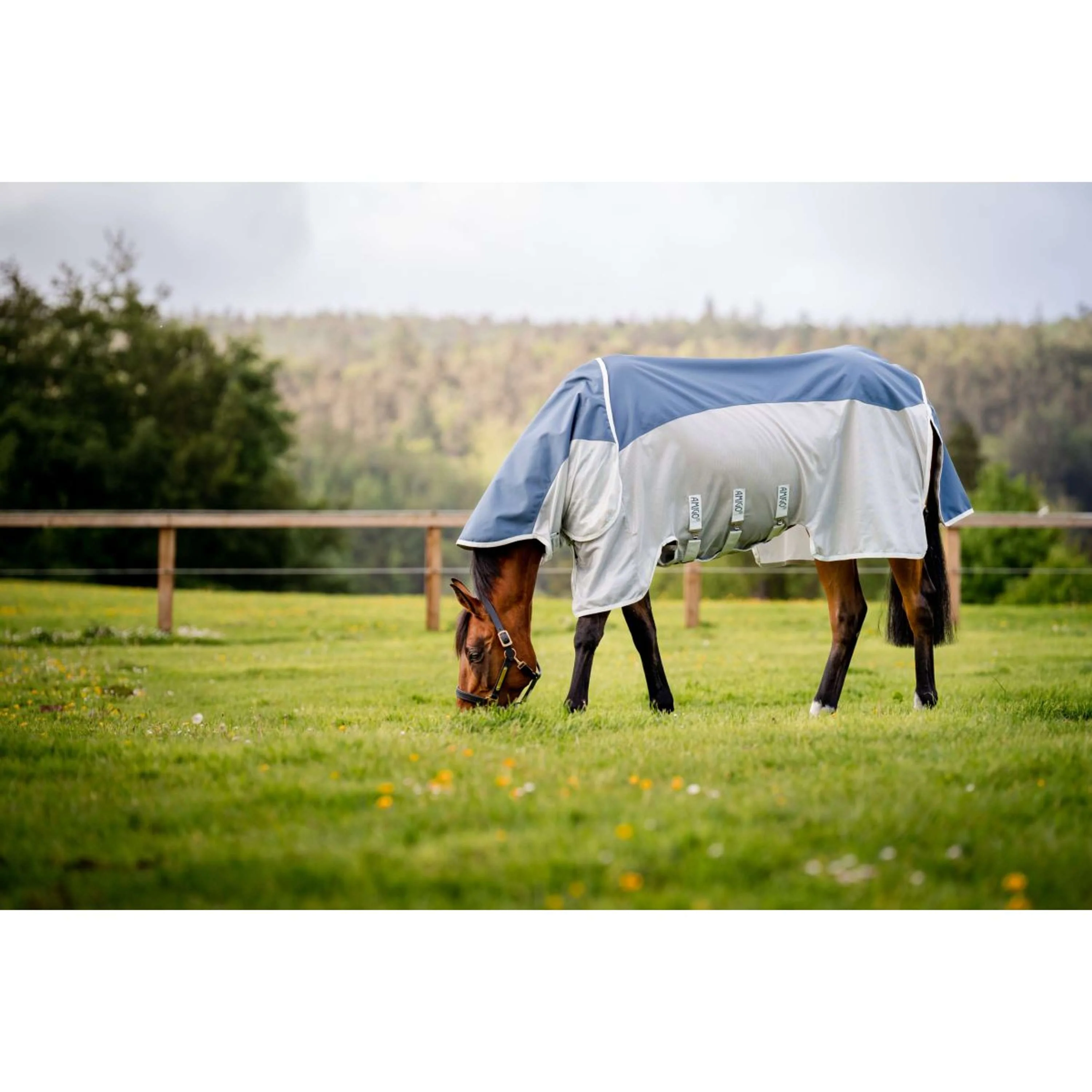 Amigo 3 in 1 AmECO Combi Teal/gris - Image 3