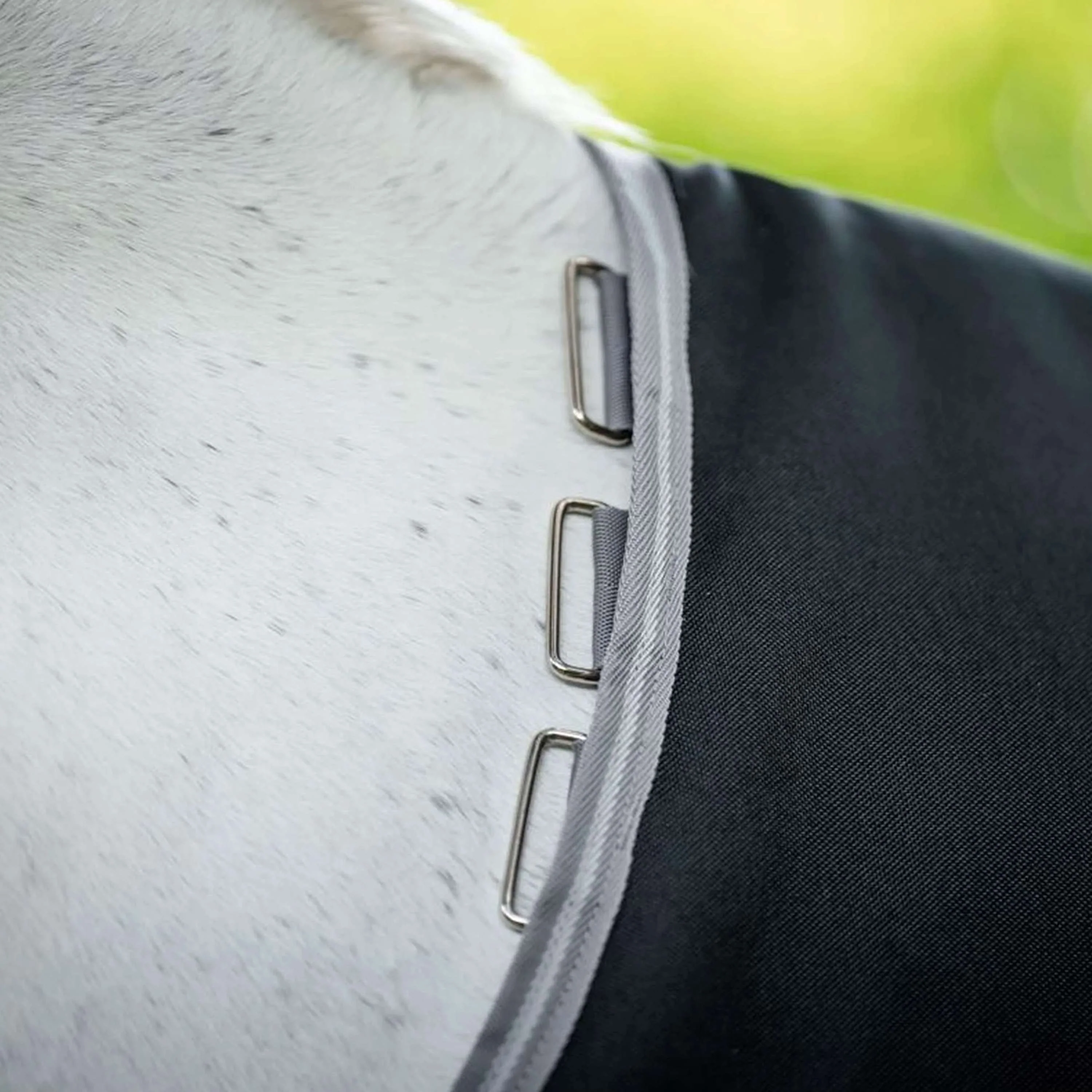 Amigo Couverture Turnout Bravo 100g Black/Titanium Grey - Image 5