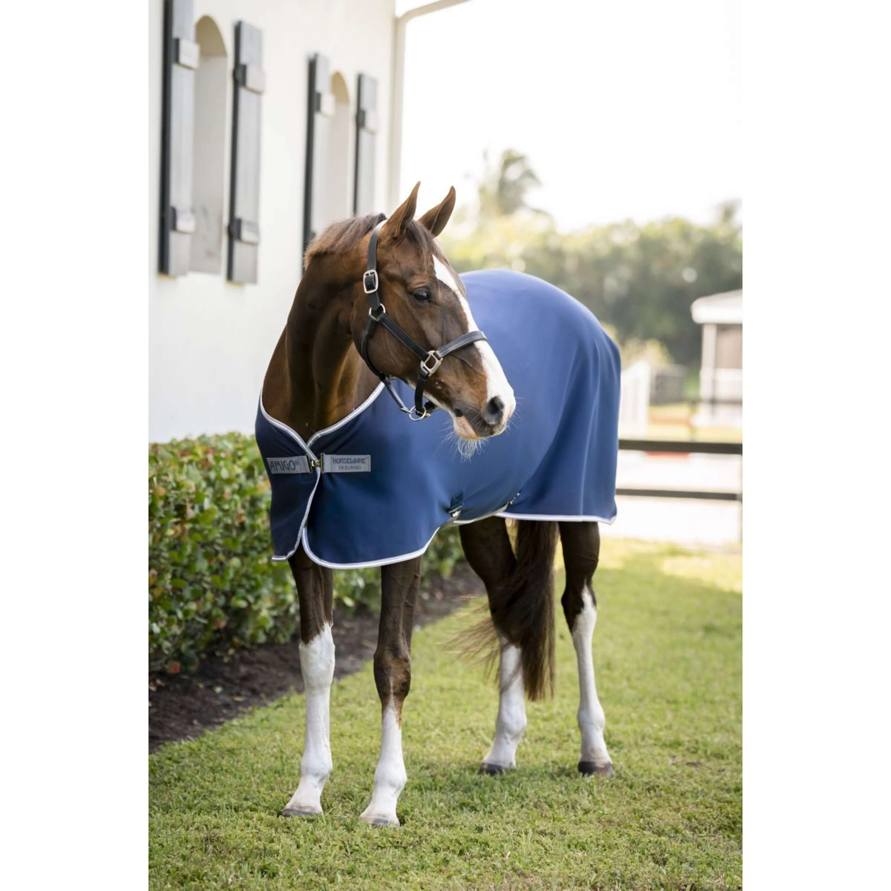 Amigo Chemise Rafraîchissante Jersey Poney Marine/Gris Titane/Argent - Image 8