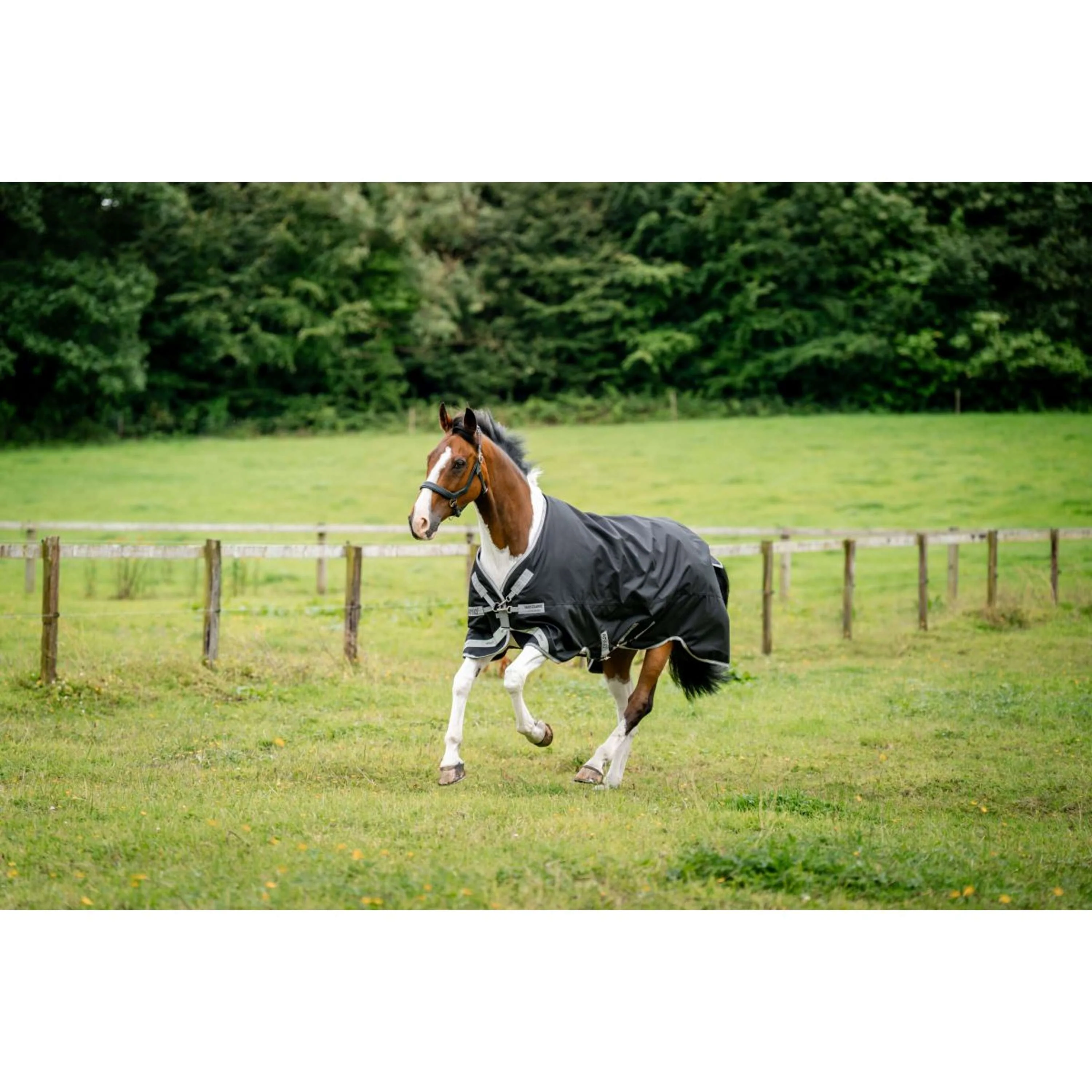 Amigo Chemise Turnout 1200D XL 150g Black/Titanium Grey/Silver