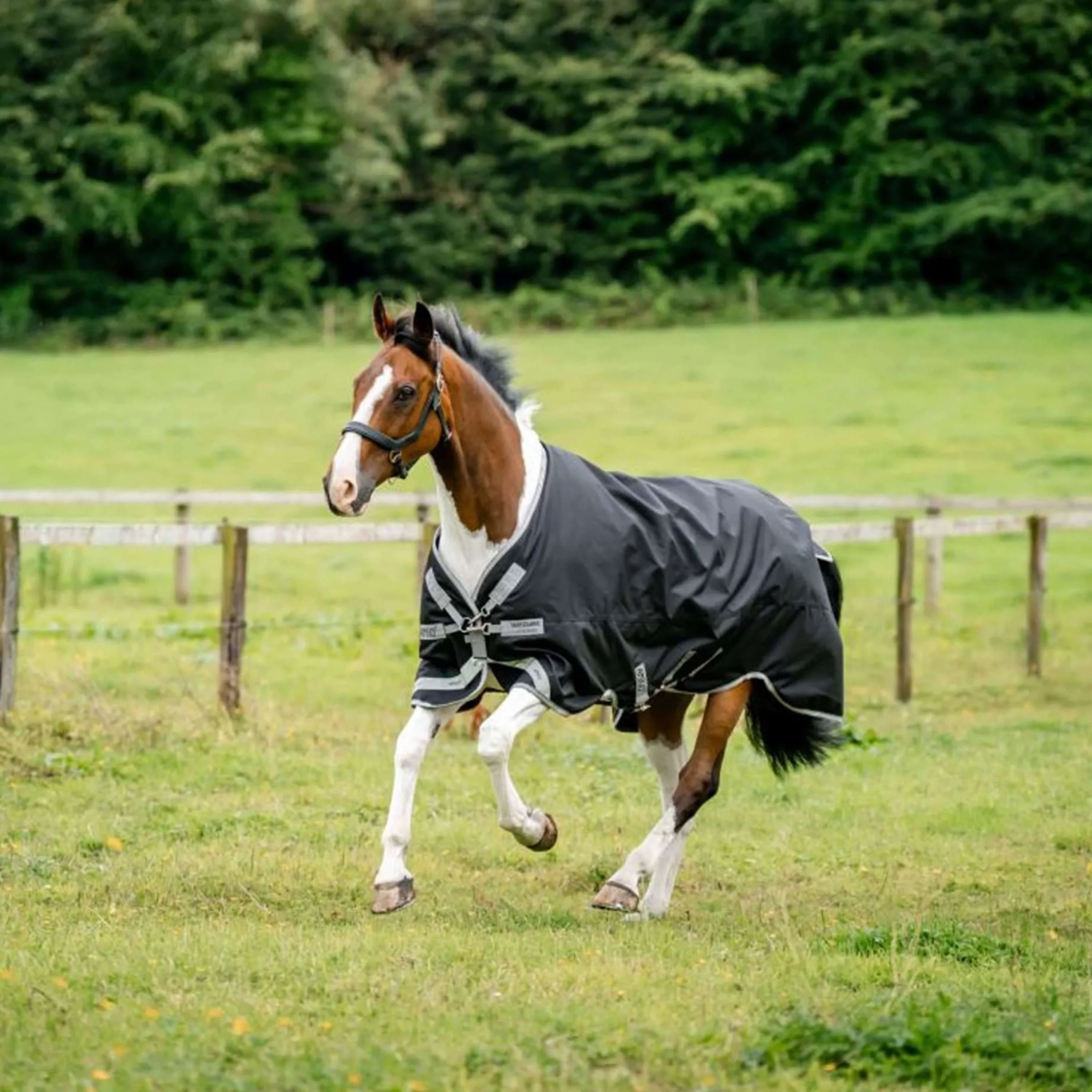 Amigo Chemise Turnout 1200D XL 50g Noir/Gris Titane/Argent