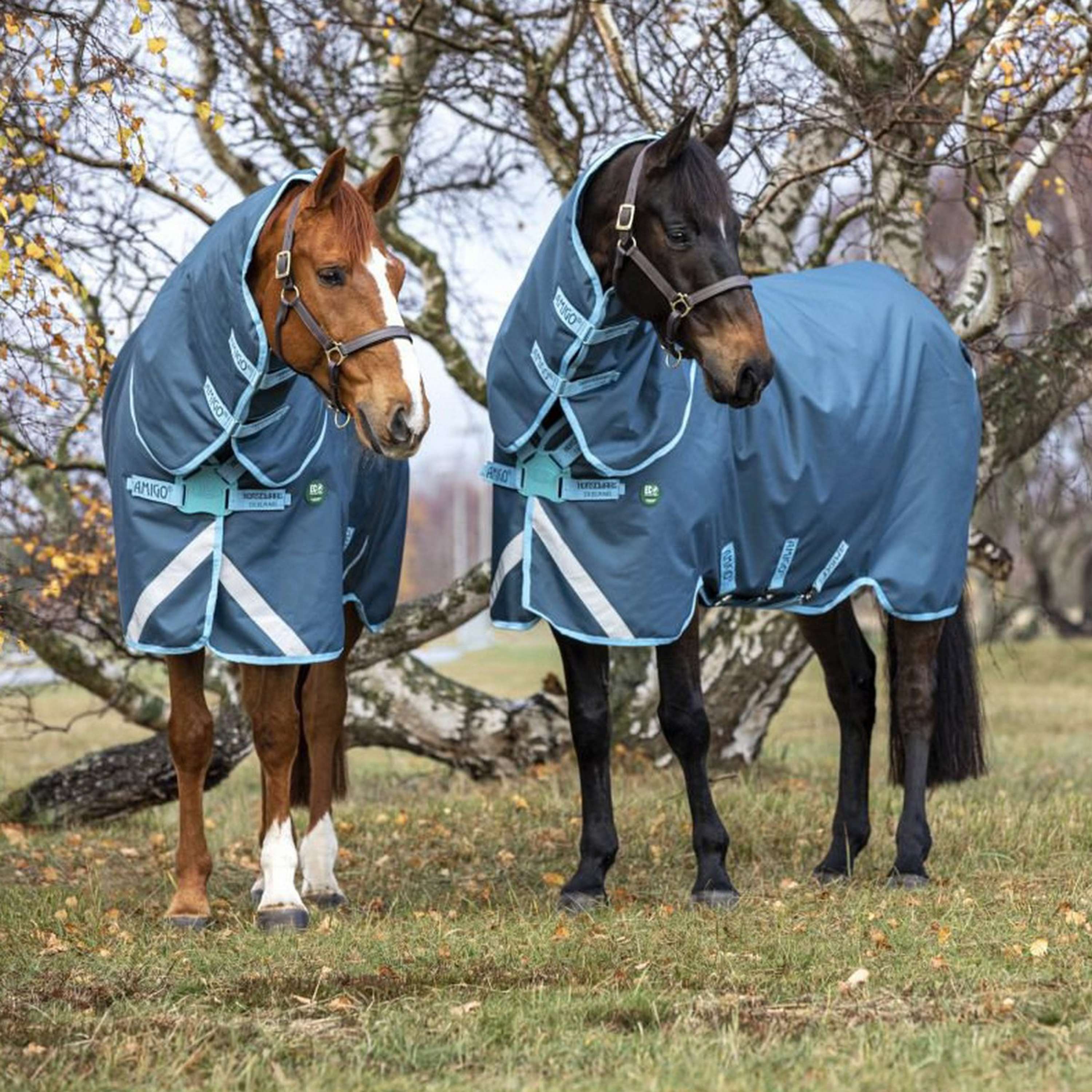 Amigo Couverture Turnout AmEco Bravo 12 Plus 250g Dark Blue/Sky Blue - Image 2