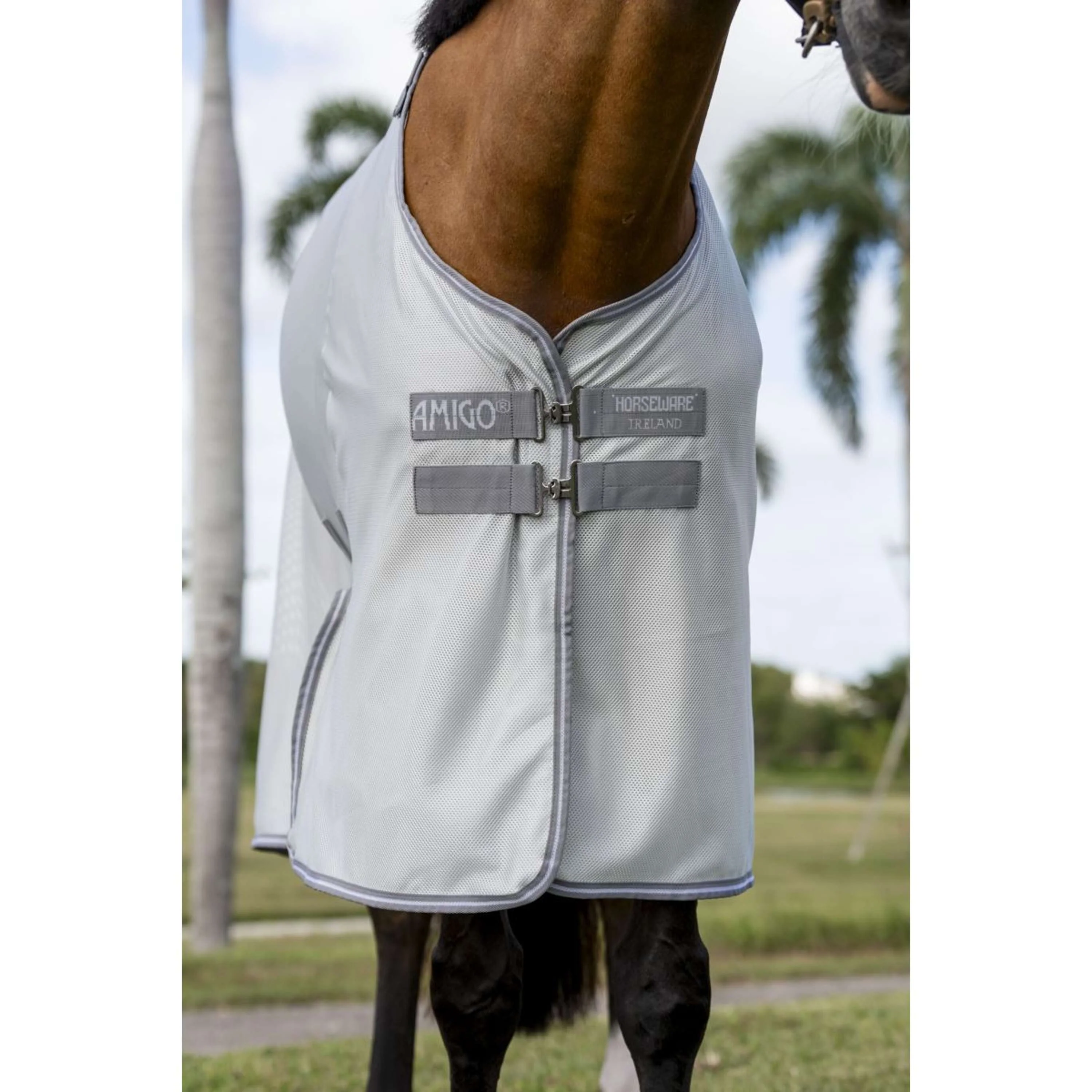 Amigo Bug Buster Argent/Gris Titane/Argent - Image 5