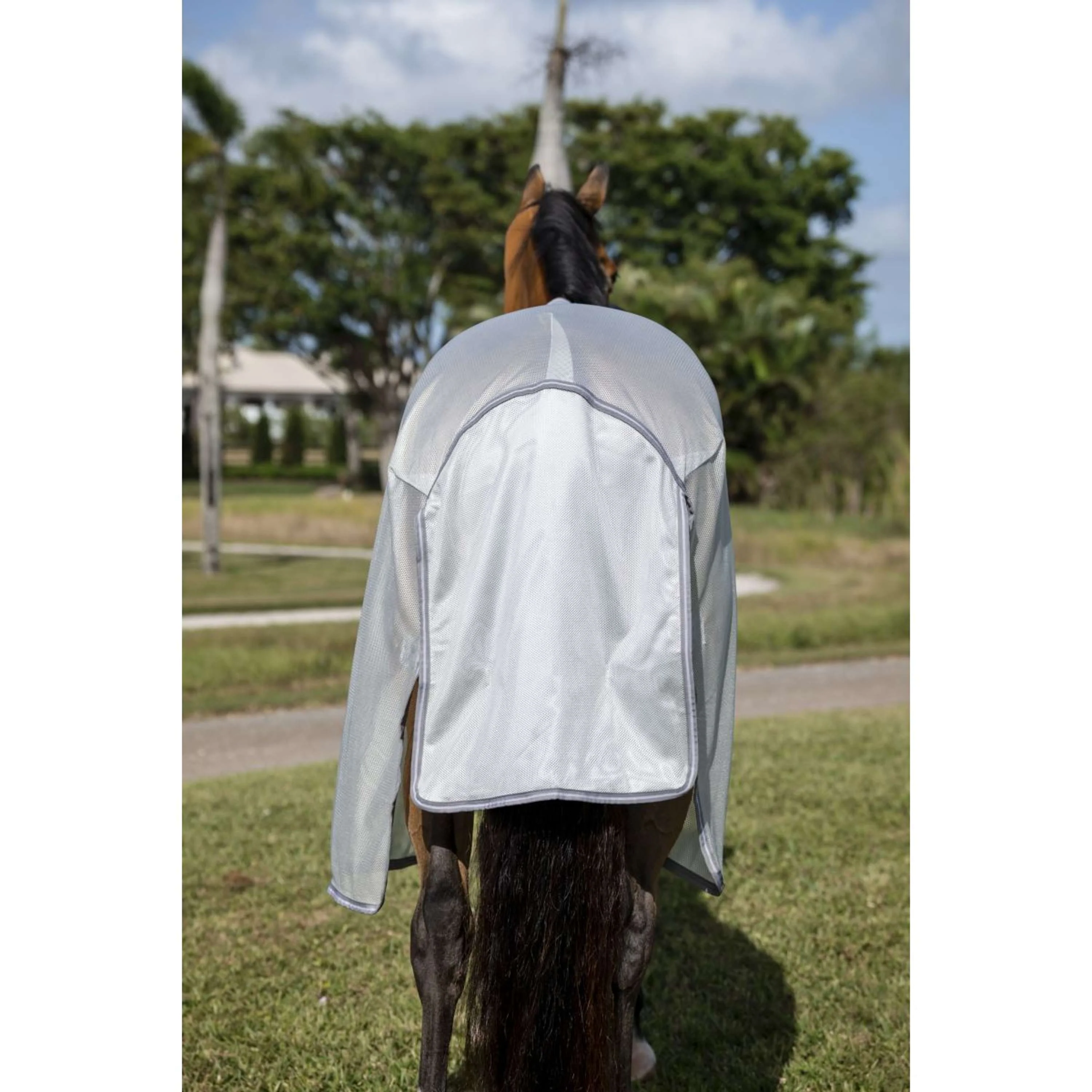 Amigo Bug Buster Argent/Gris Titane/Argent - Image 6