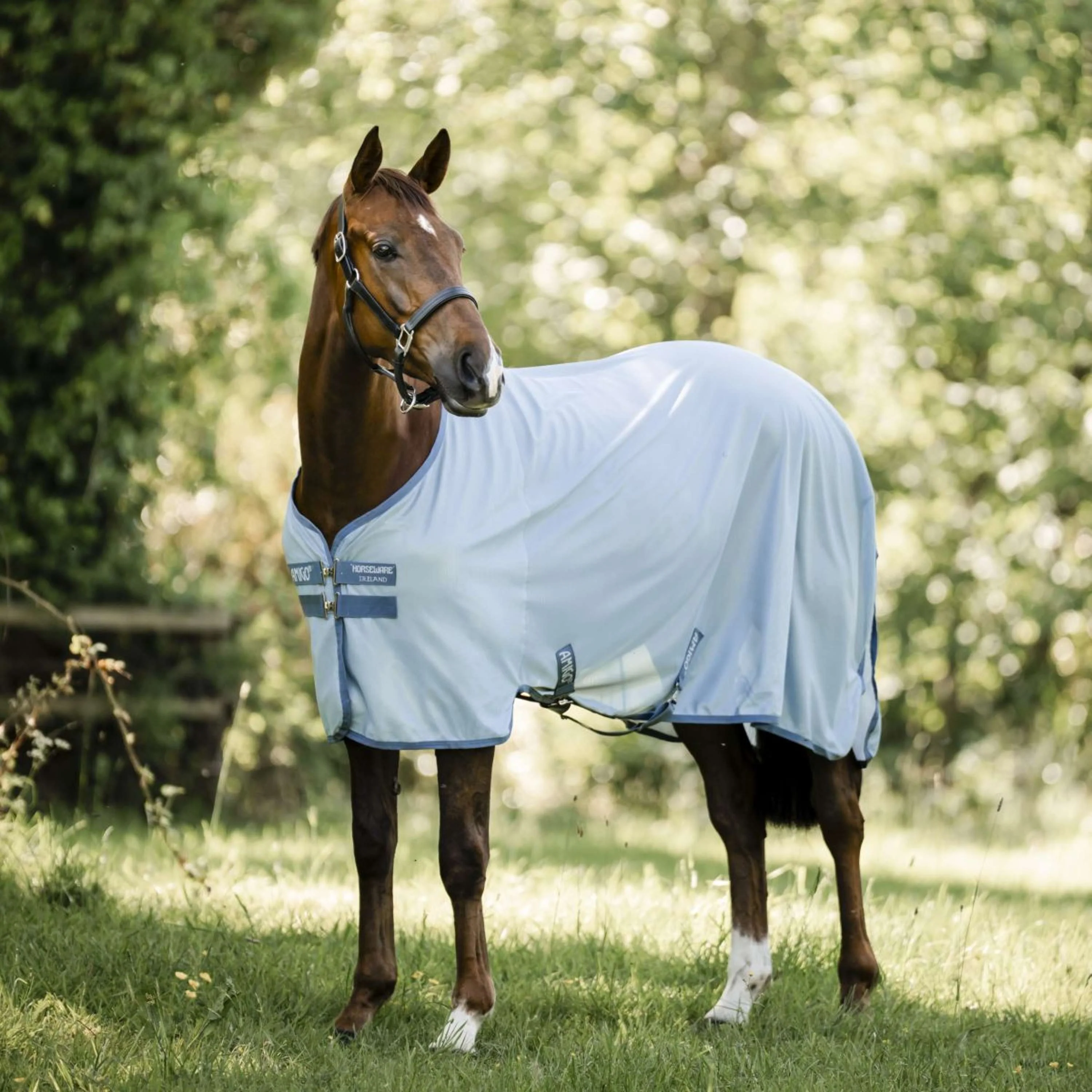 Amigo Couverture Anti-Mouches Heather Blue/Blue/Silver