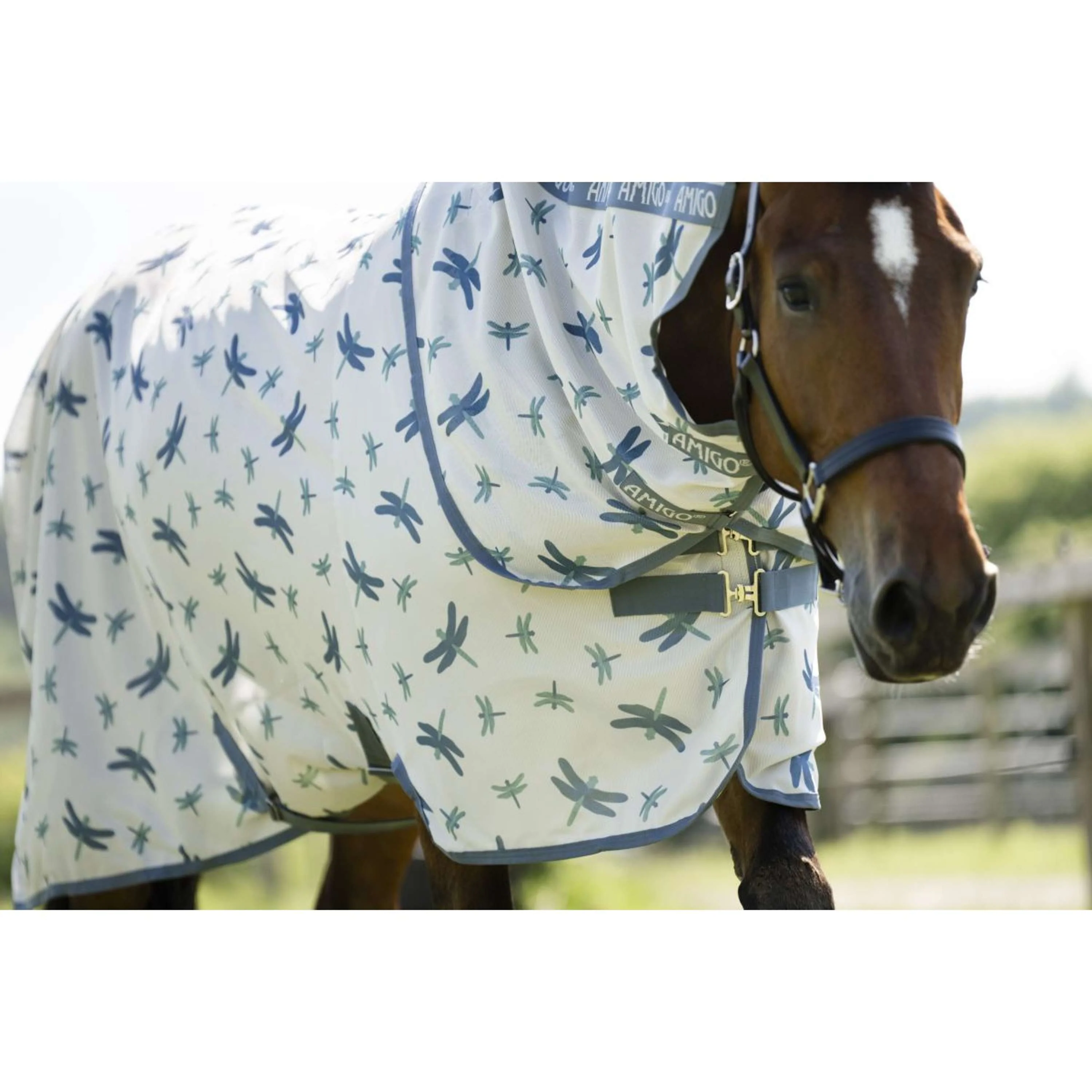 Amigo Couverture Anti-Mouches XL Plus Dragonfly Print/Silver/Blue/Sage - Image 3