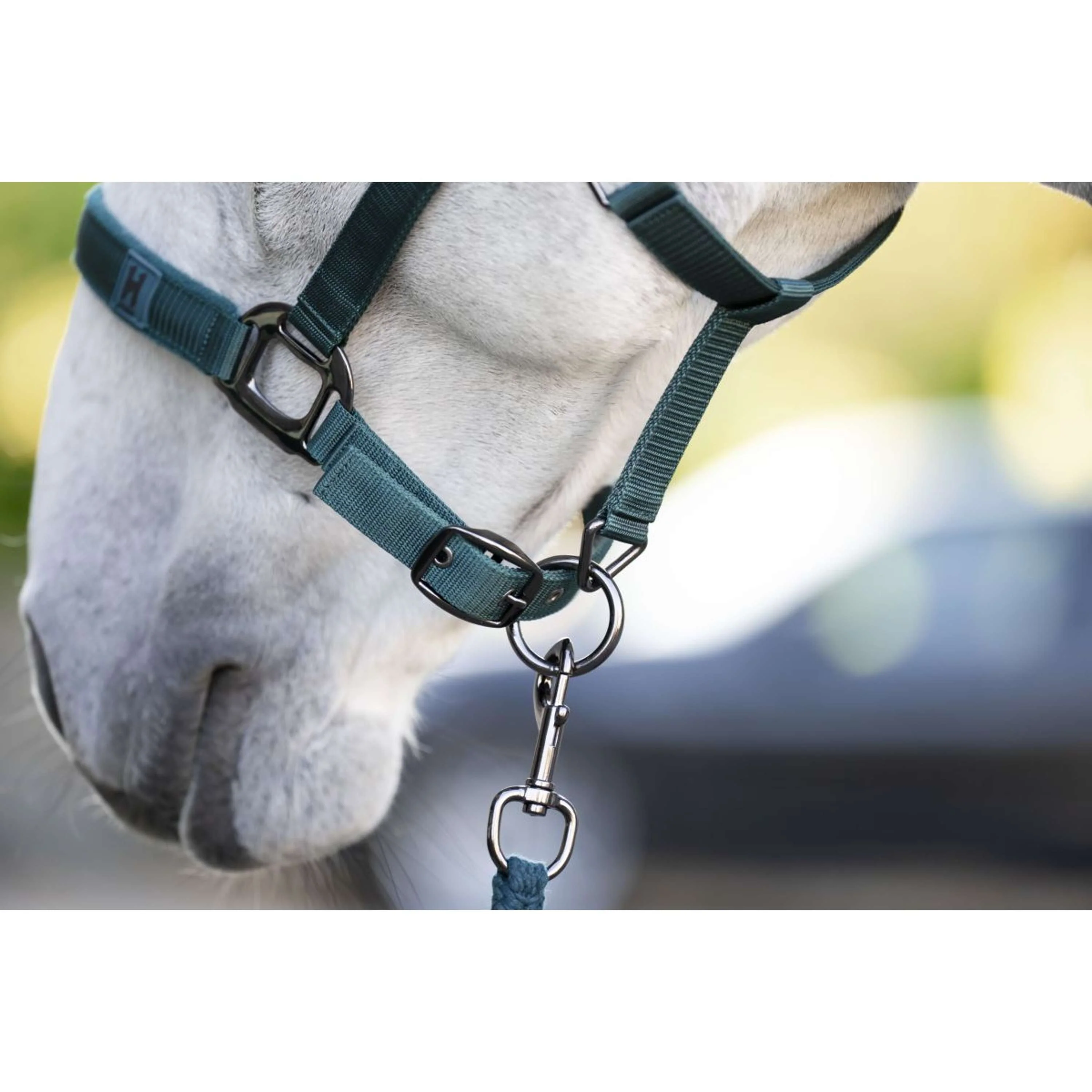 Amigo Licols et Longes Dynasty Green - Image 2