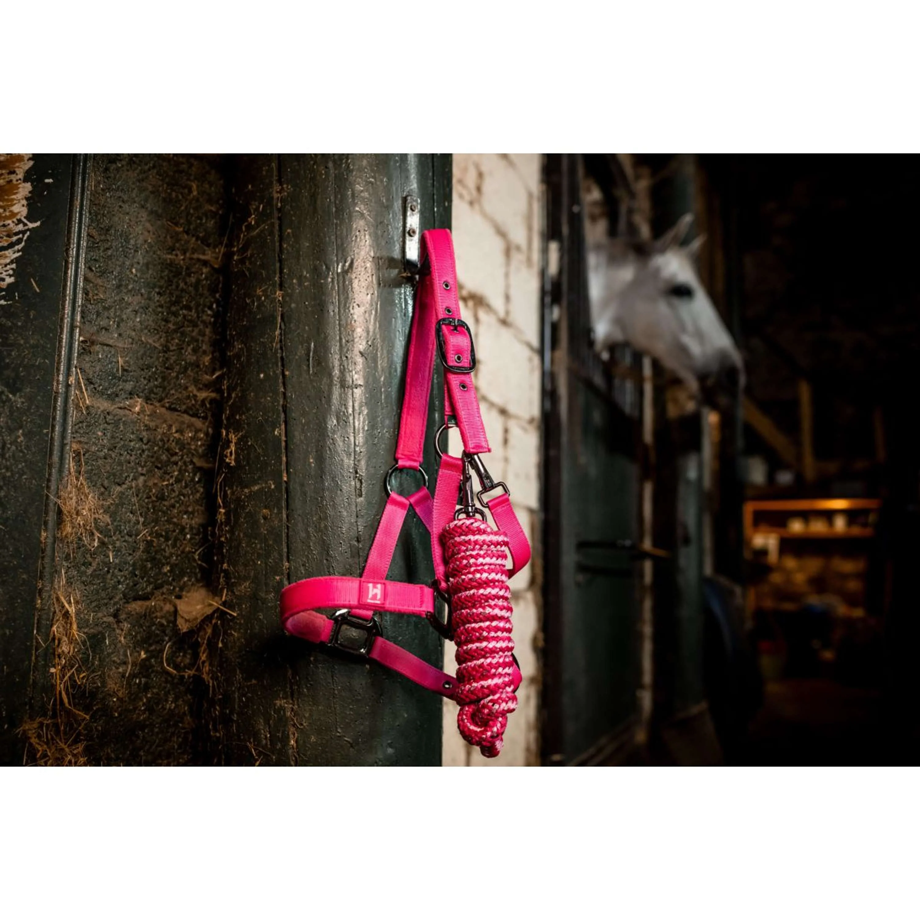 Amigo Licols et Longes Newmarket Witney Pink - Image 2