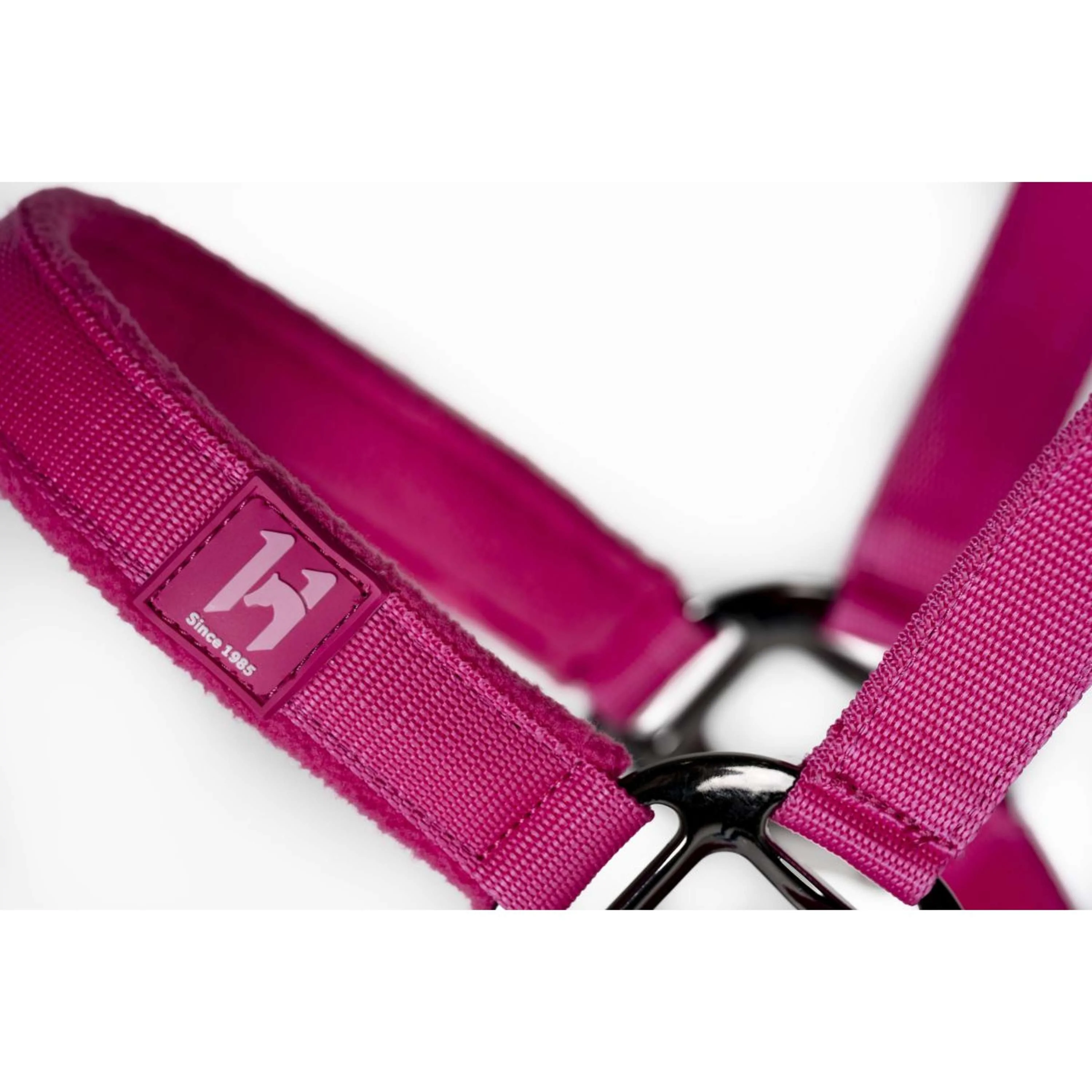 Amigo Licols et Longes Newmarket Witney Pink - Image 4