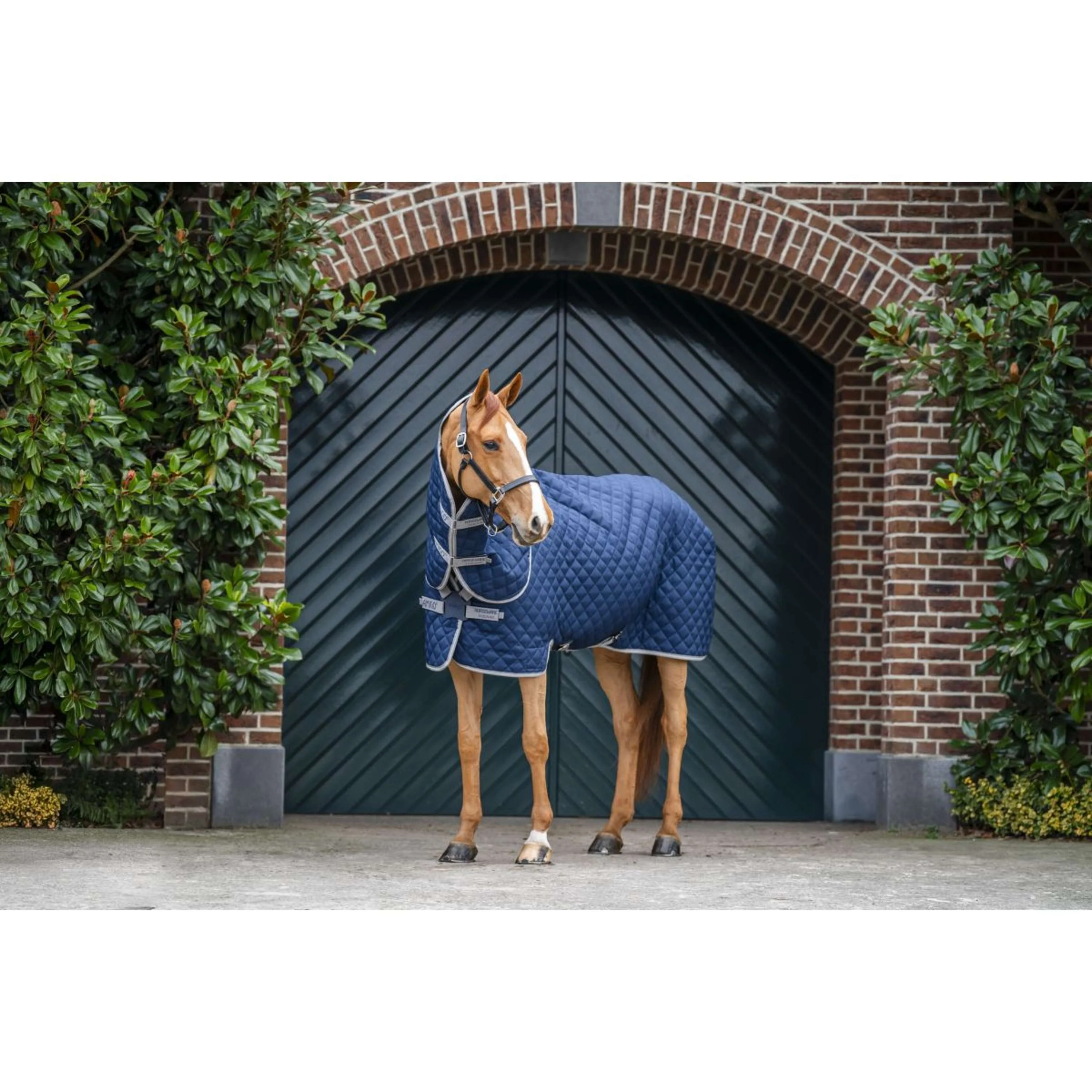 Amigo Quilted Stable Plus 200g Navy/Titanium Grey/Silver - Image 4