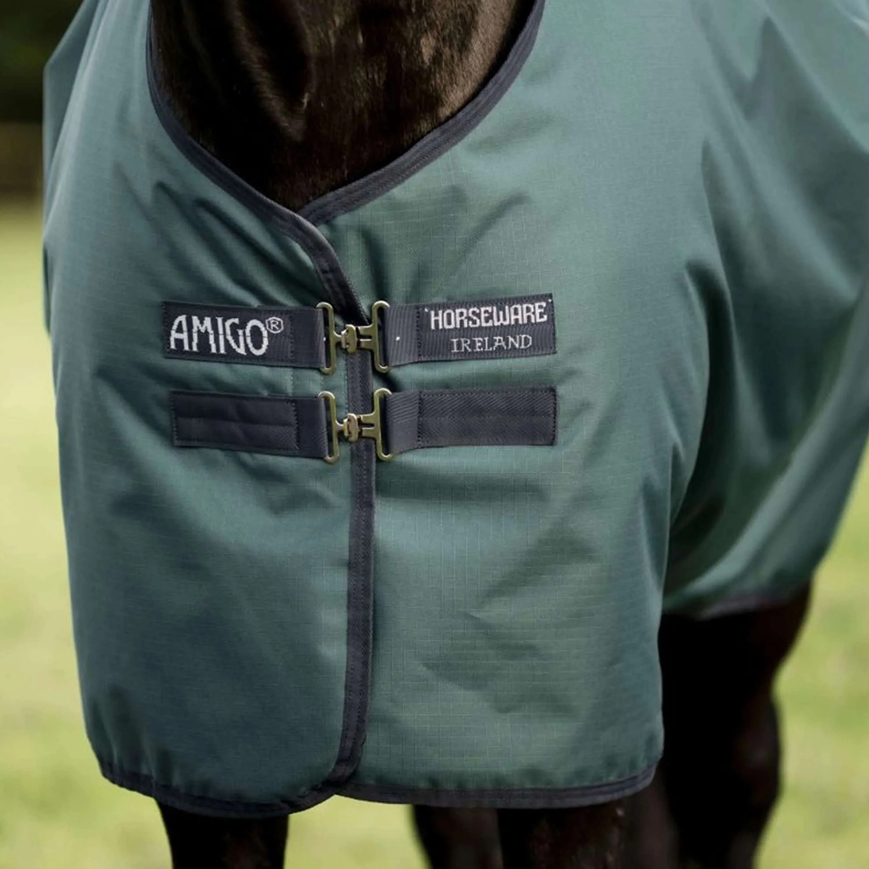 Amigo Ripstop 900D 0g Dynasty Green/Navy/Silver - Image 3