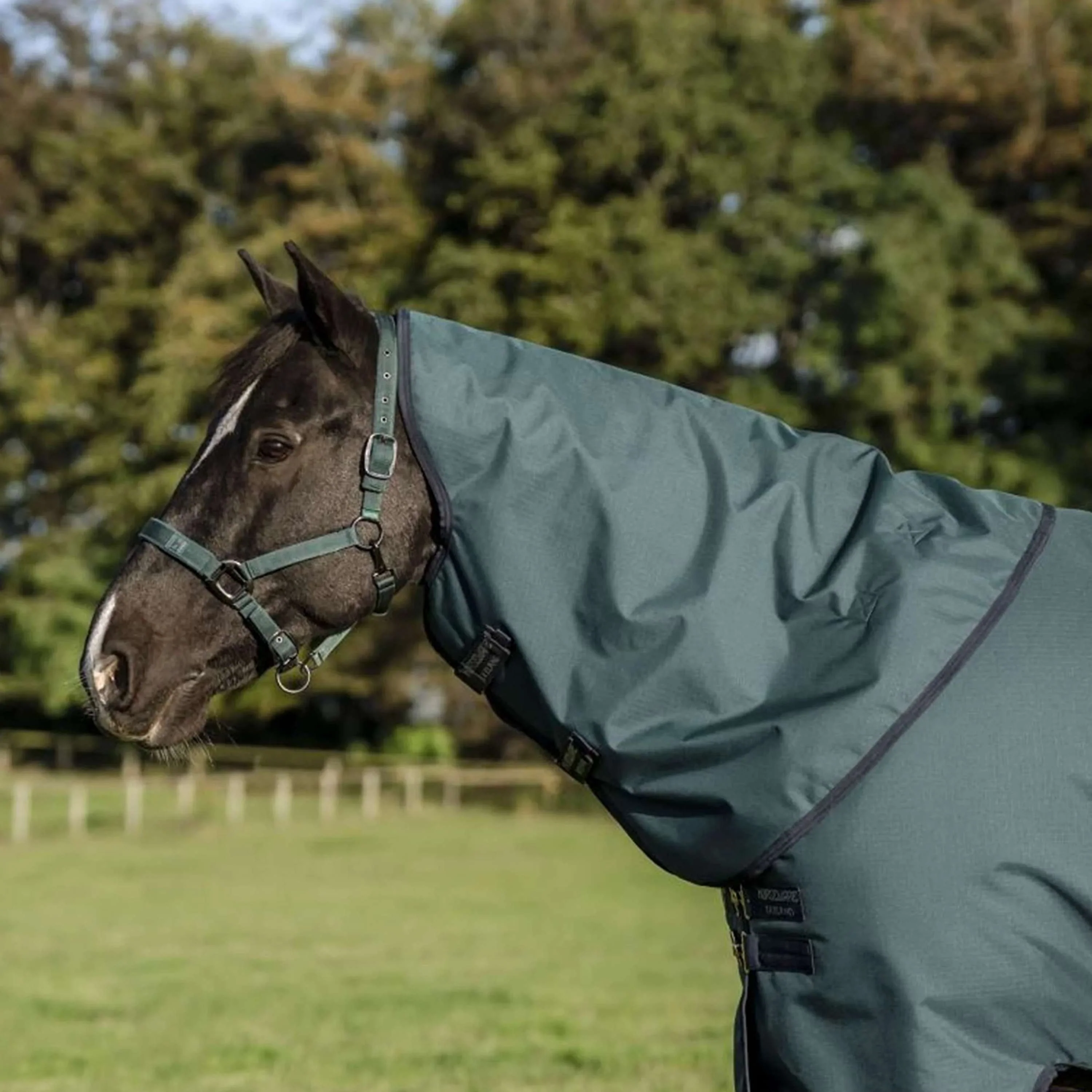 Amigo Ripstop 900D Plus Pony 0g Dynasty Green/Navy/Silver - Image 4