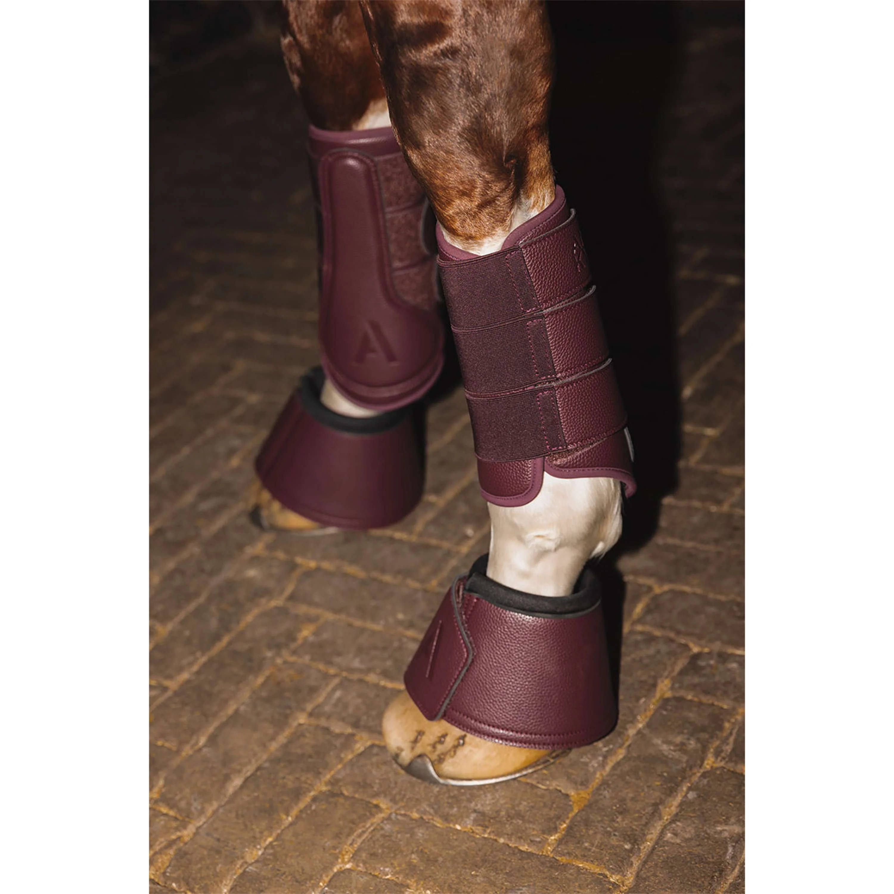 ANKY Dressage Boots ATB25005 3C Sassafras - Image 2