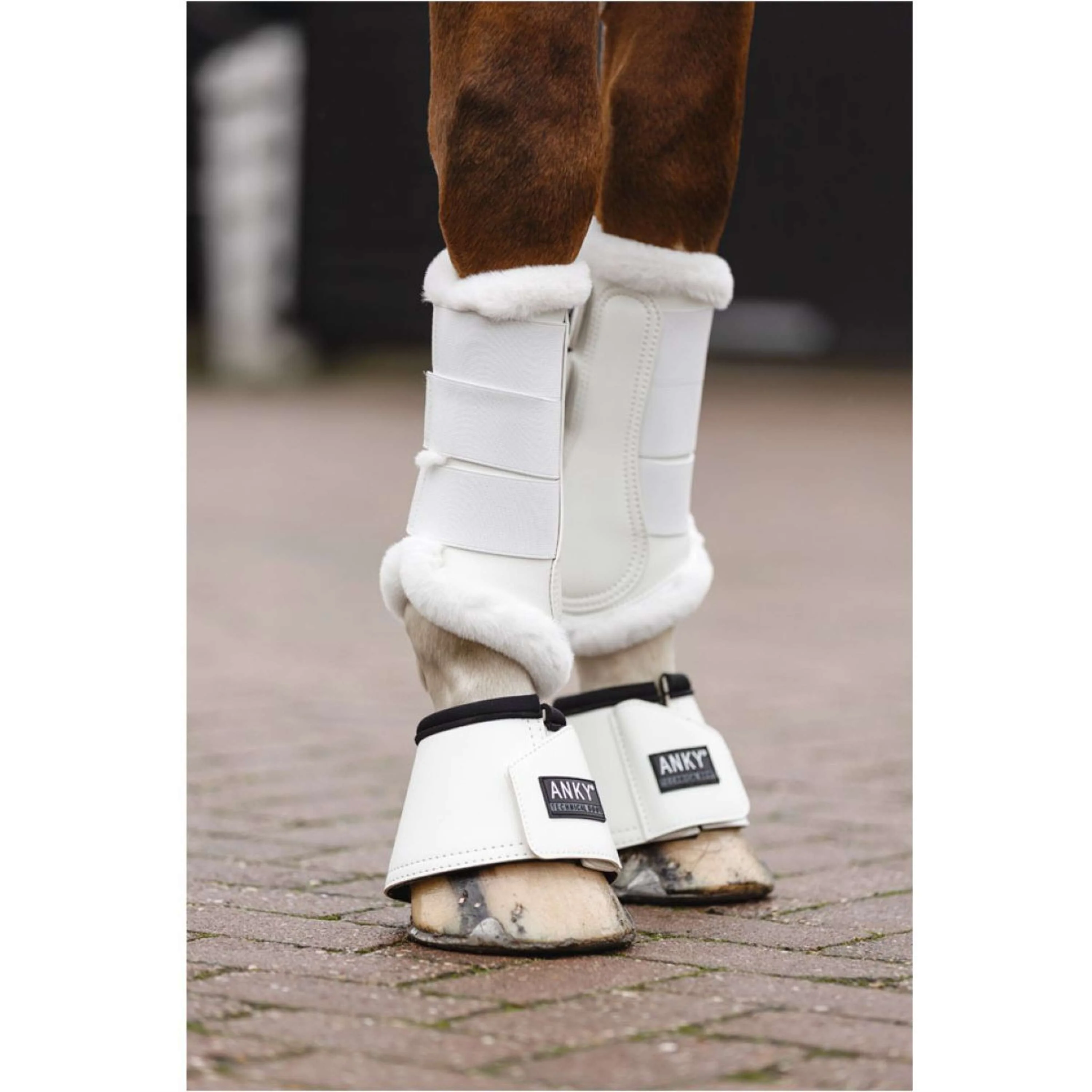 ANKY Dressage Boots Blanc - Image 4