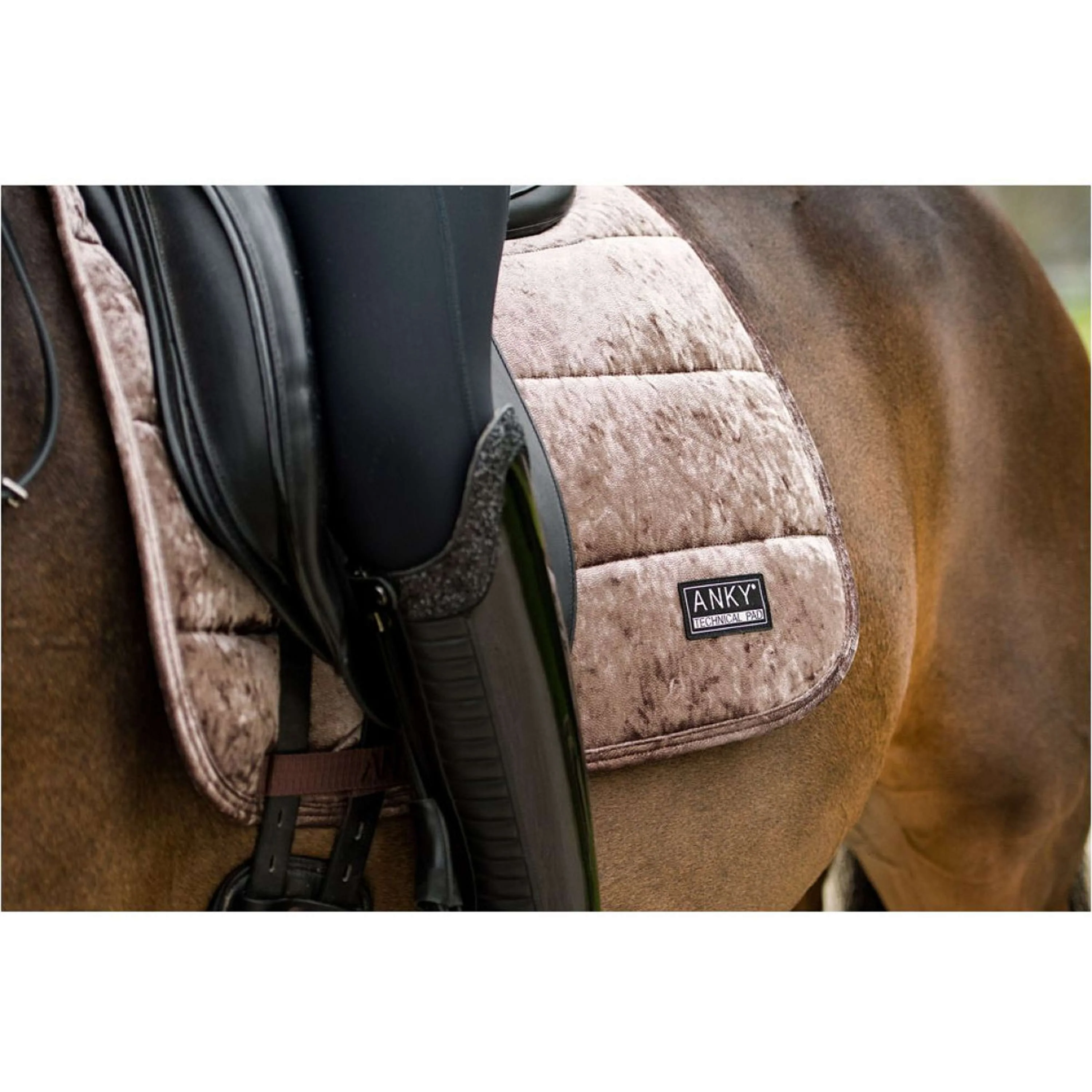 ANKY Tapis de Selle Jubilee Dressage Rose de Cristal - Image 4