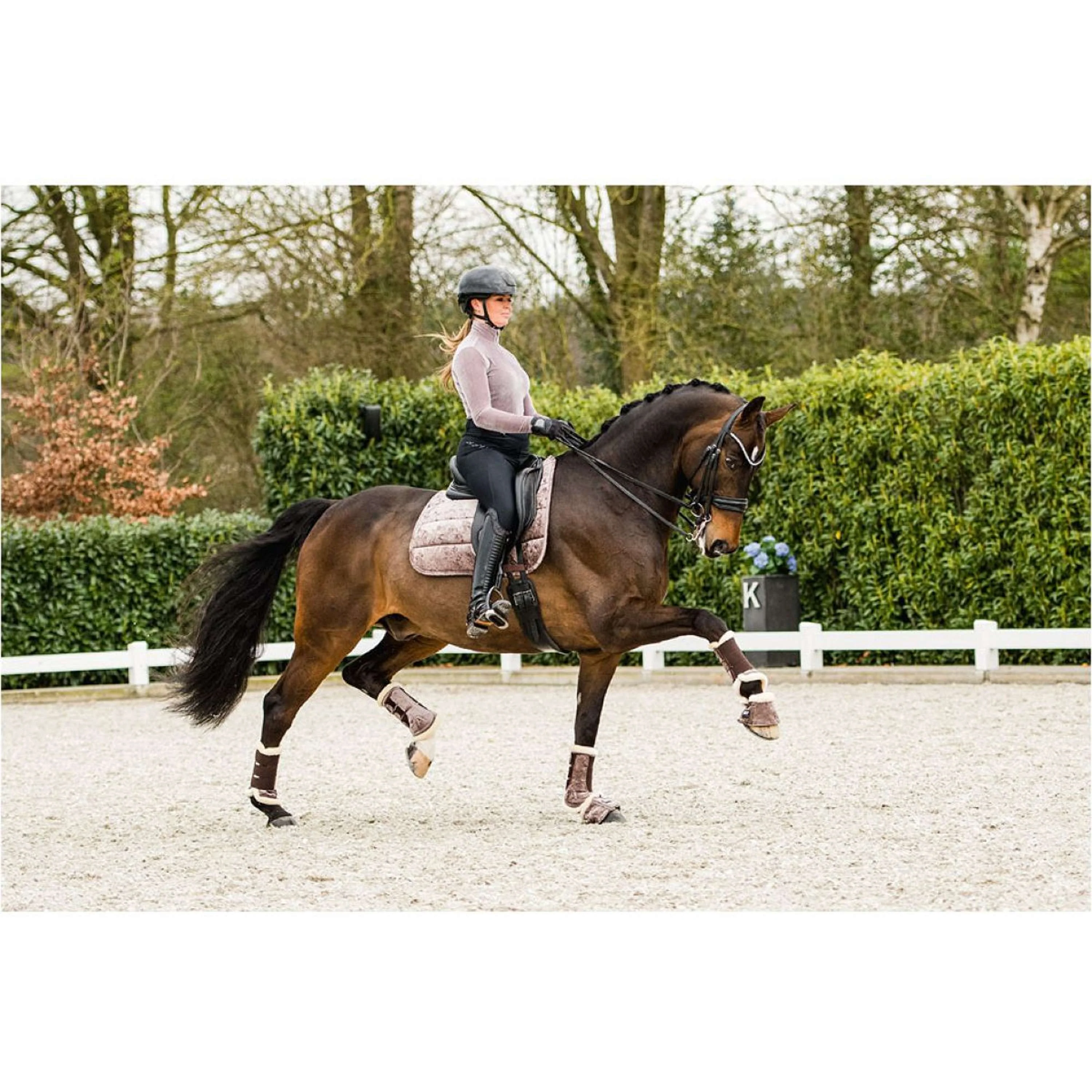 ANKY Tapis de Selle Jubilee Dressage Rose de Cristal - Image 5