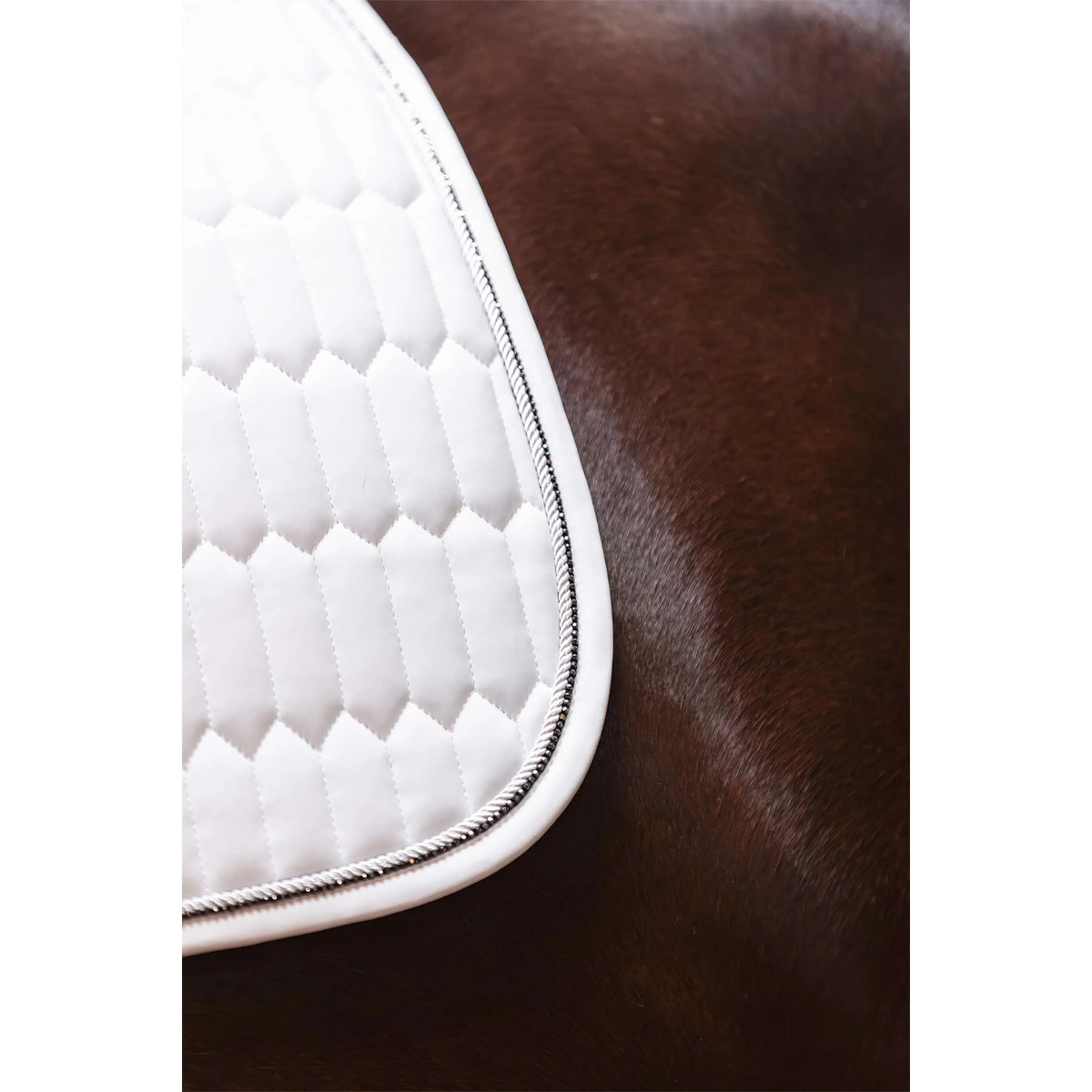 ANKY Tapis de Selle Perception C-Wear Dressage Blanc - Image 5