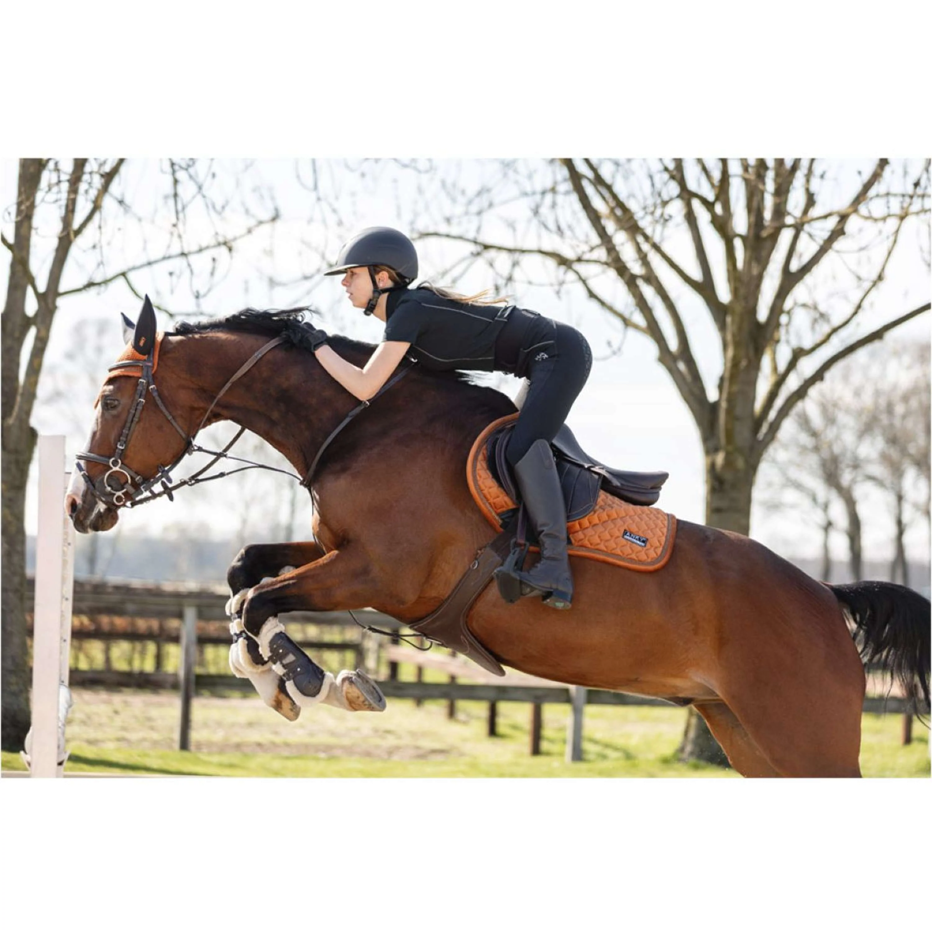 ANKY Tapis de Selle Velvet Stones de Saut Rouille - Image 5