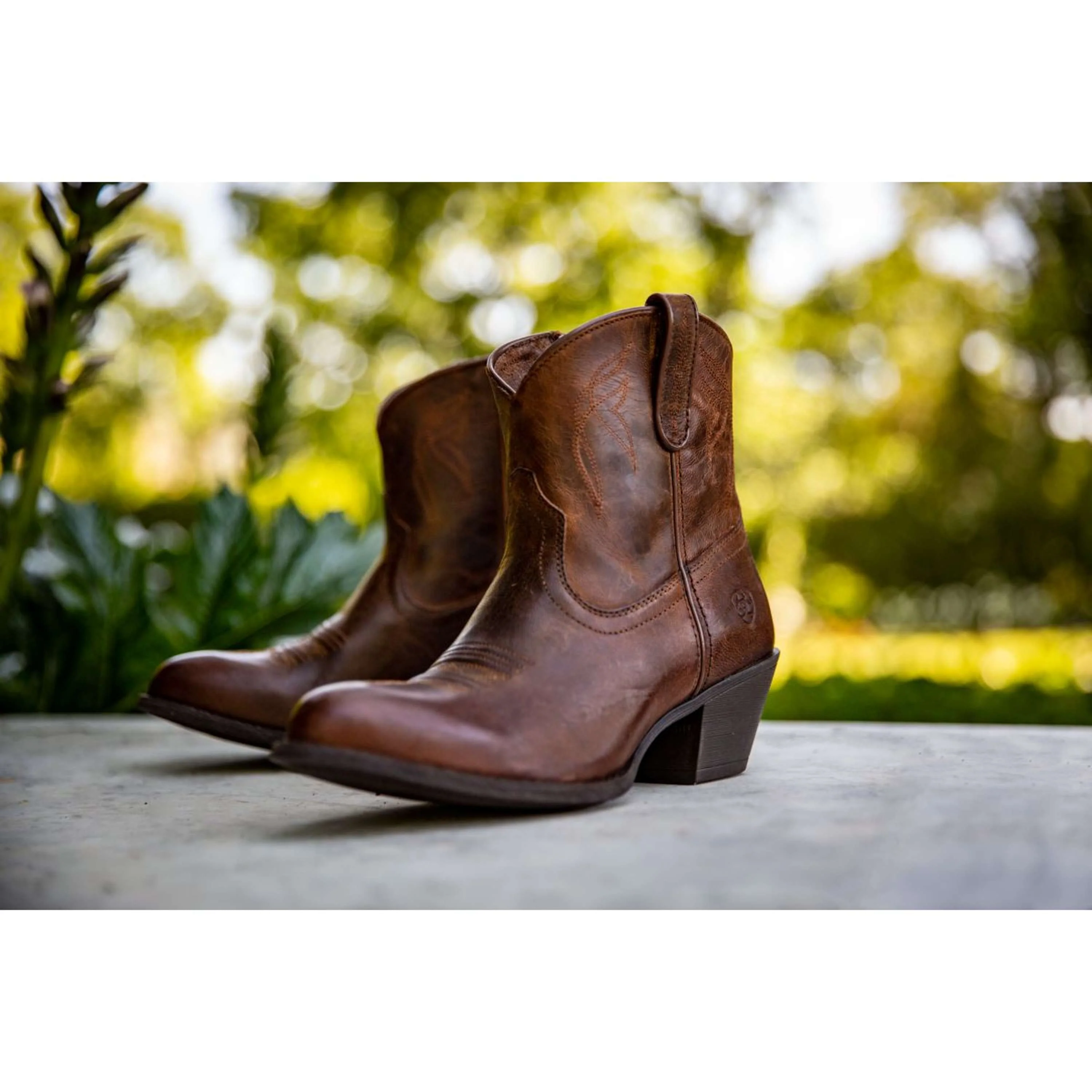 Ariat Bottes Western Darlin Femme Sassy Brown - Image 5