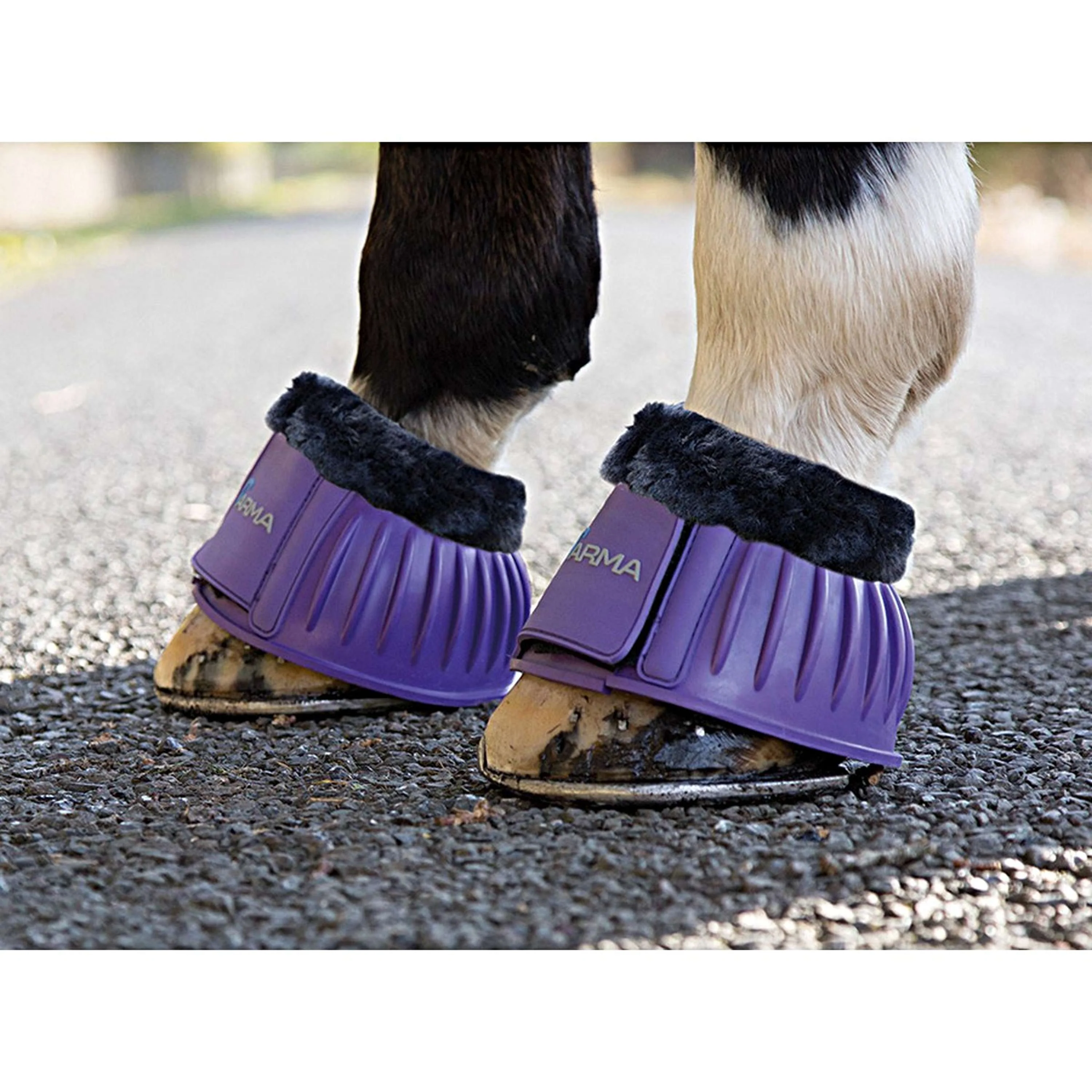 Arma by Shires Cloches d'Obstacles Molleton Noir Violet - Image 4