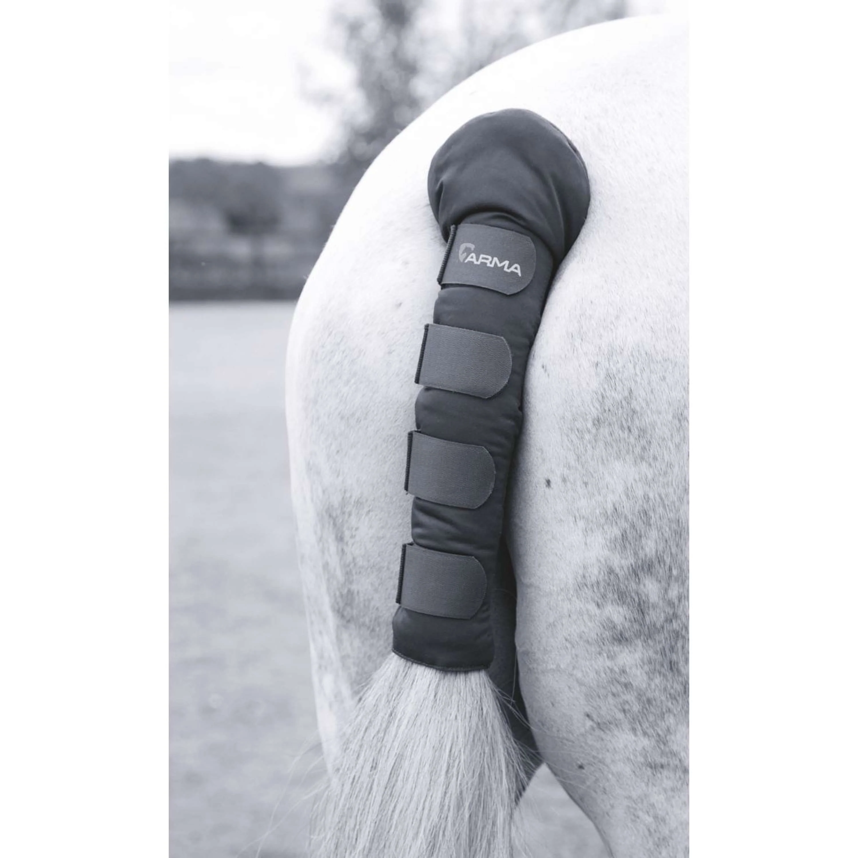 Arma by Shires Protege Queue Padded Noir
