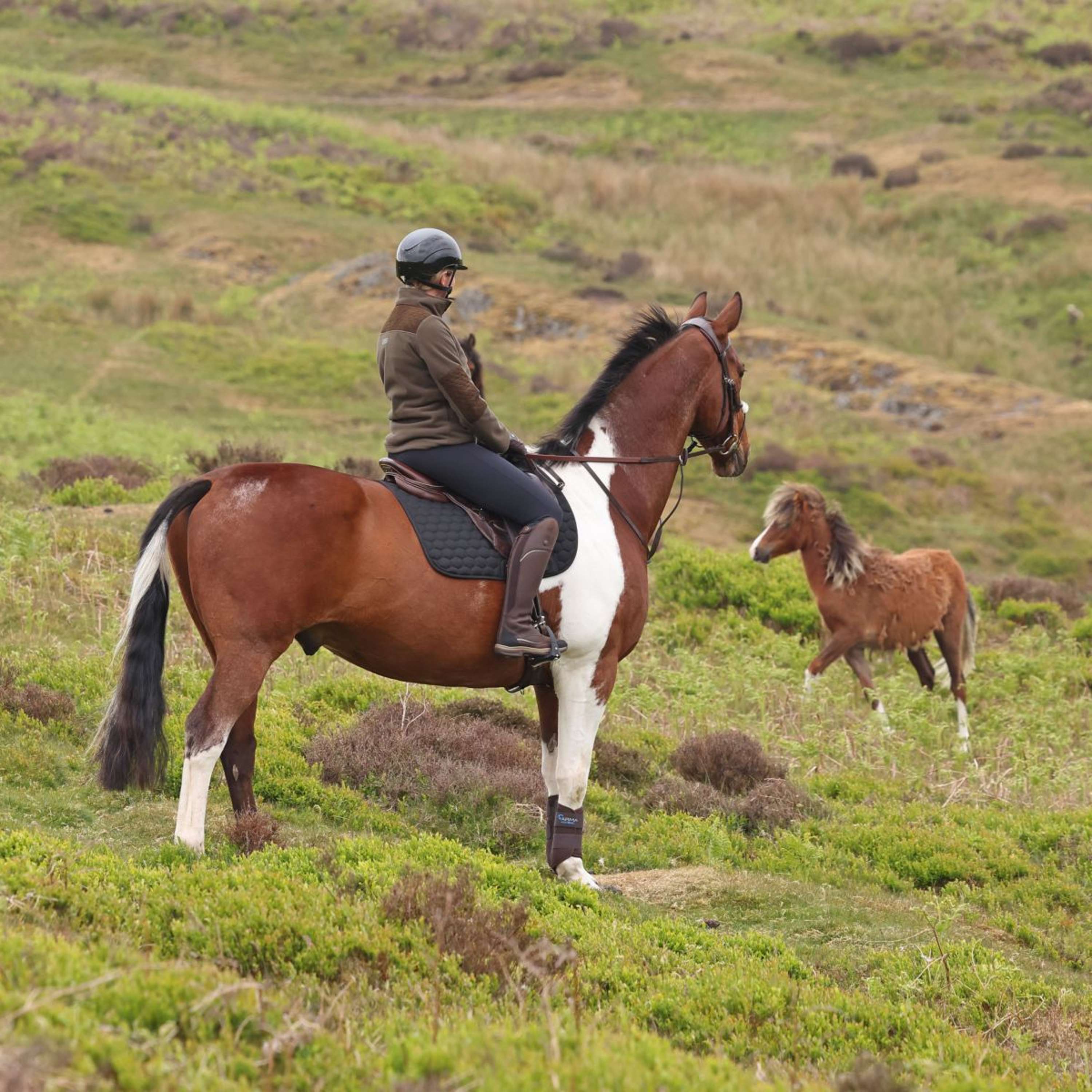 Aubrion by Shires Pull Heritage Fleece Olive foncé - Image 18