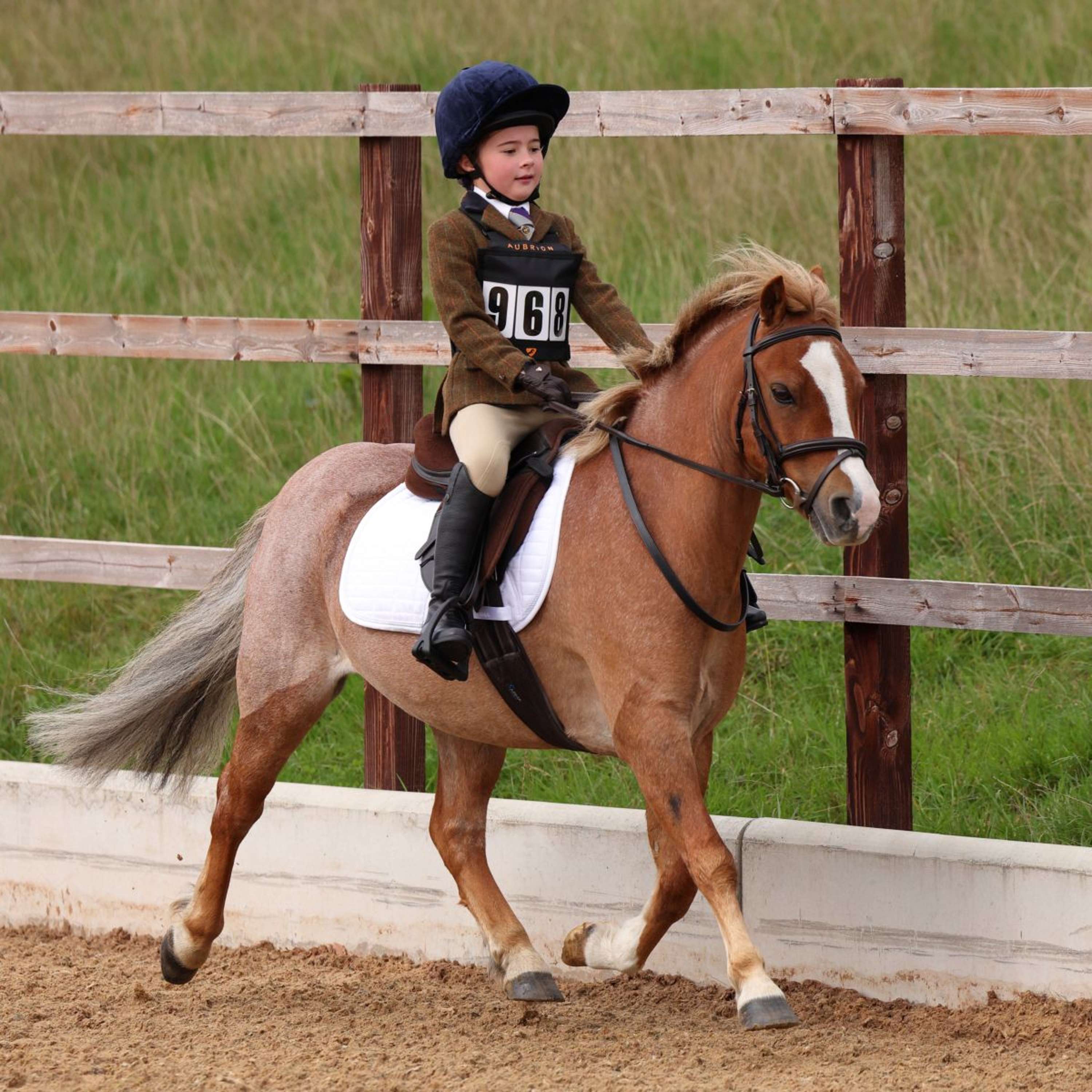 Aubrion by Shires Veste de Concours Saratoga Enfants Rouille Check - Image 15