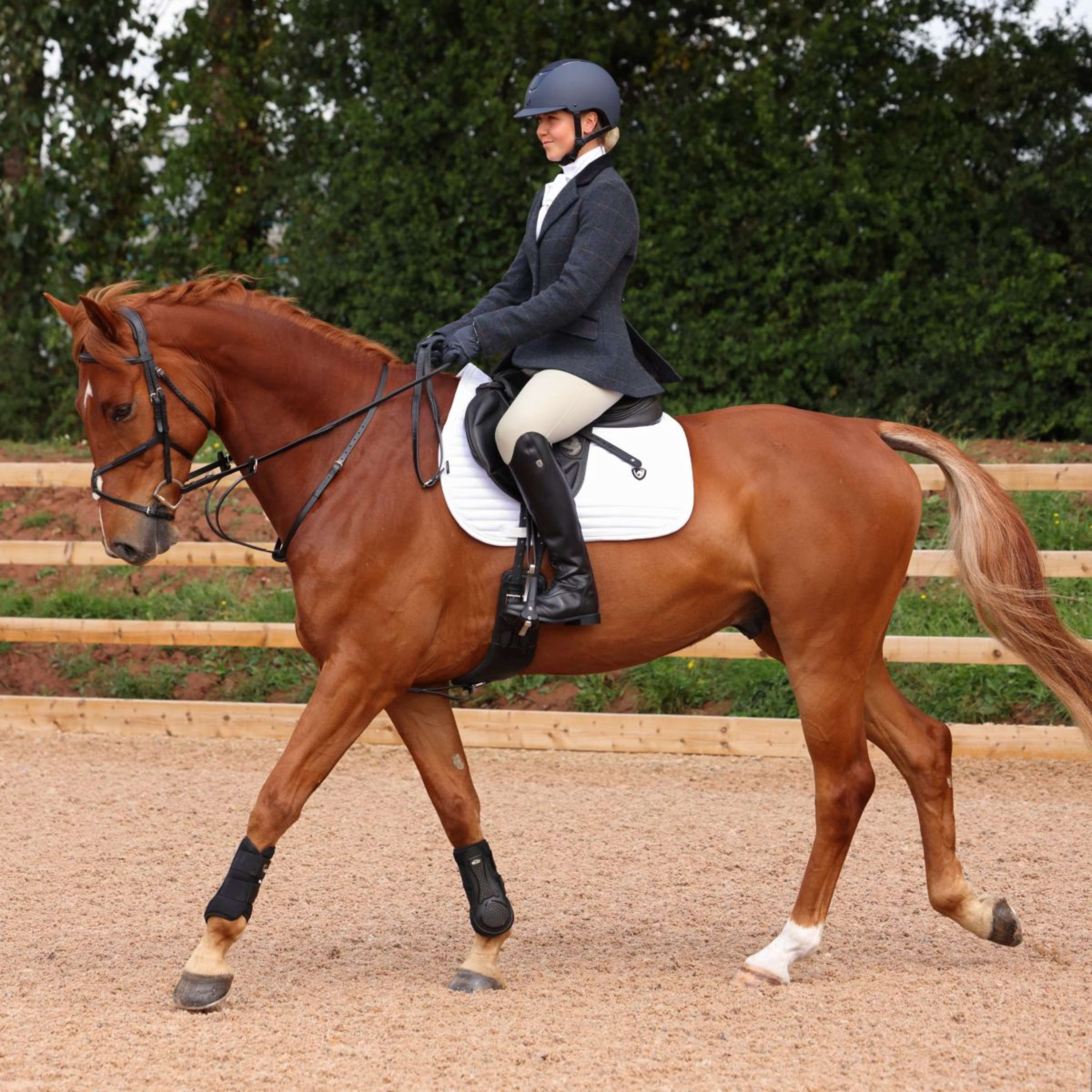 Aubrion by Shires Veste de Concours Saratoga Juniper Navy Check - Image 11