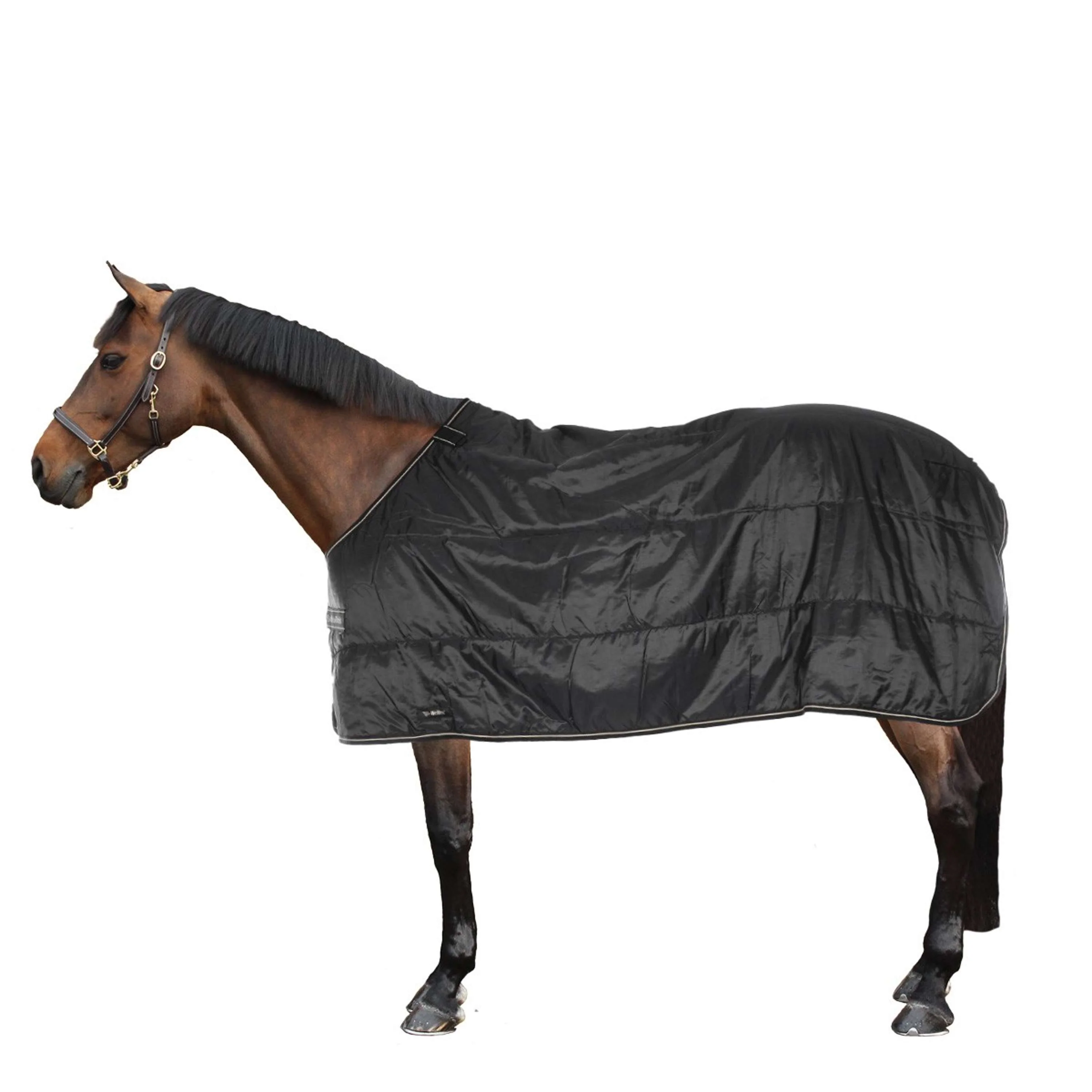 Back on Track Rhyolite Insulated Liner 200g Noir - Image 2
