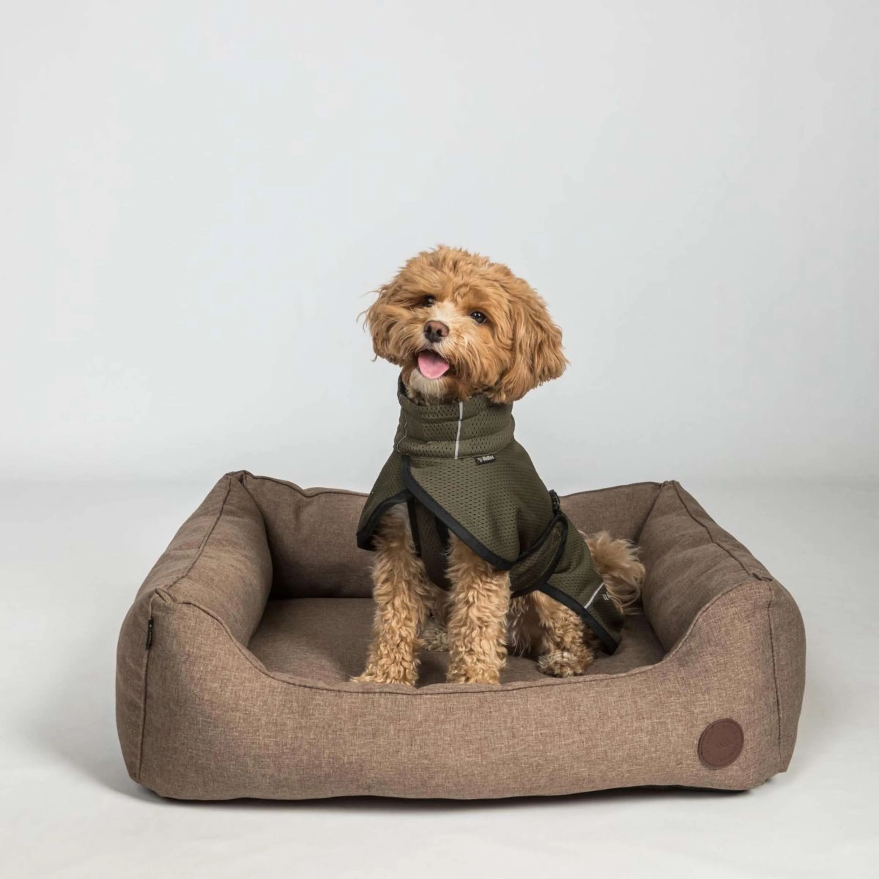 Back on Track Veste pour Chien BAY Mesh Olive - Image 3