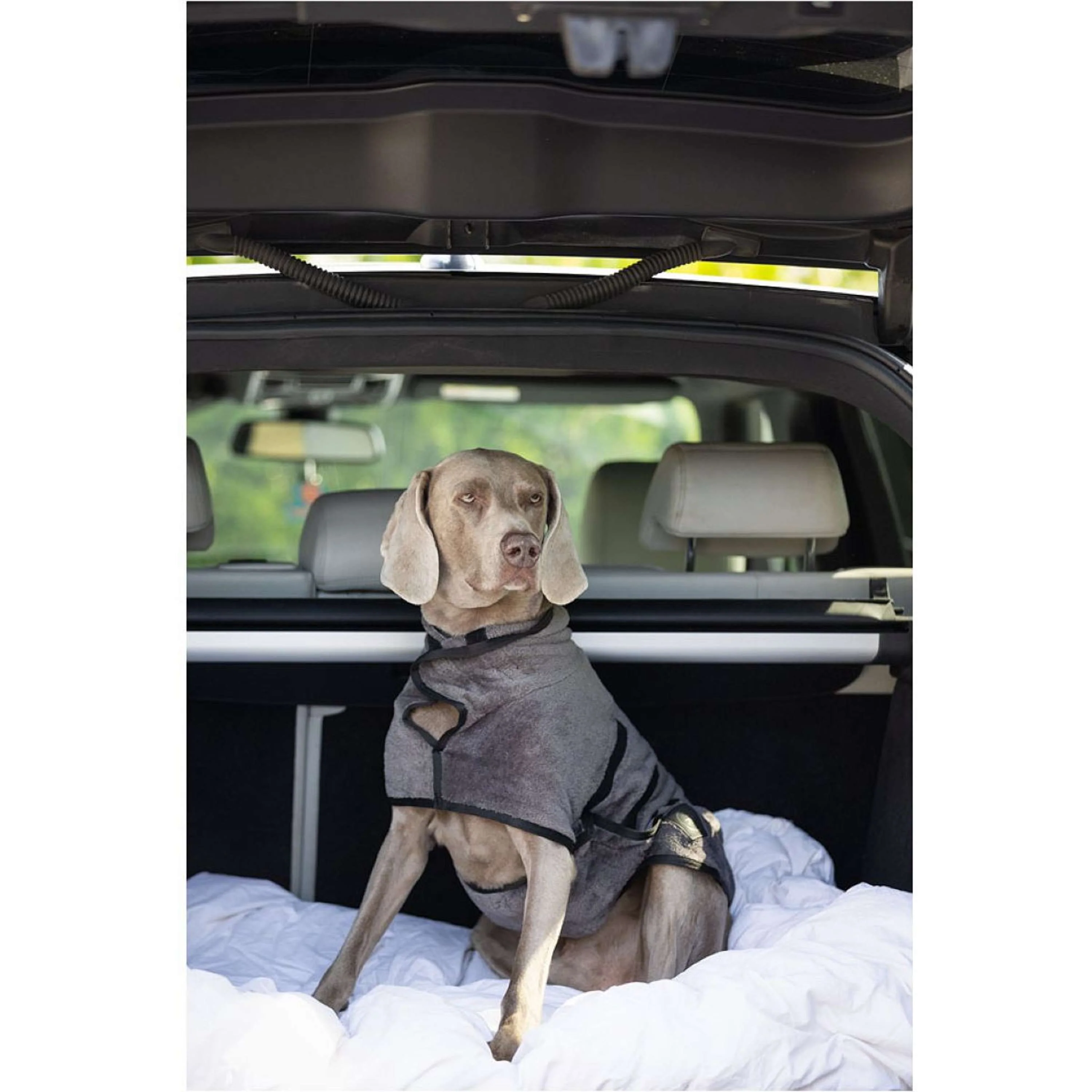 BR Peignoir Chien Grey Asphalt - Image 2