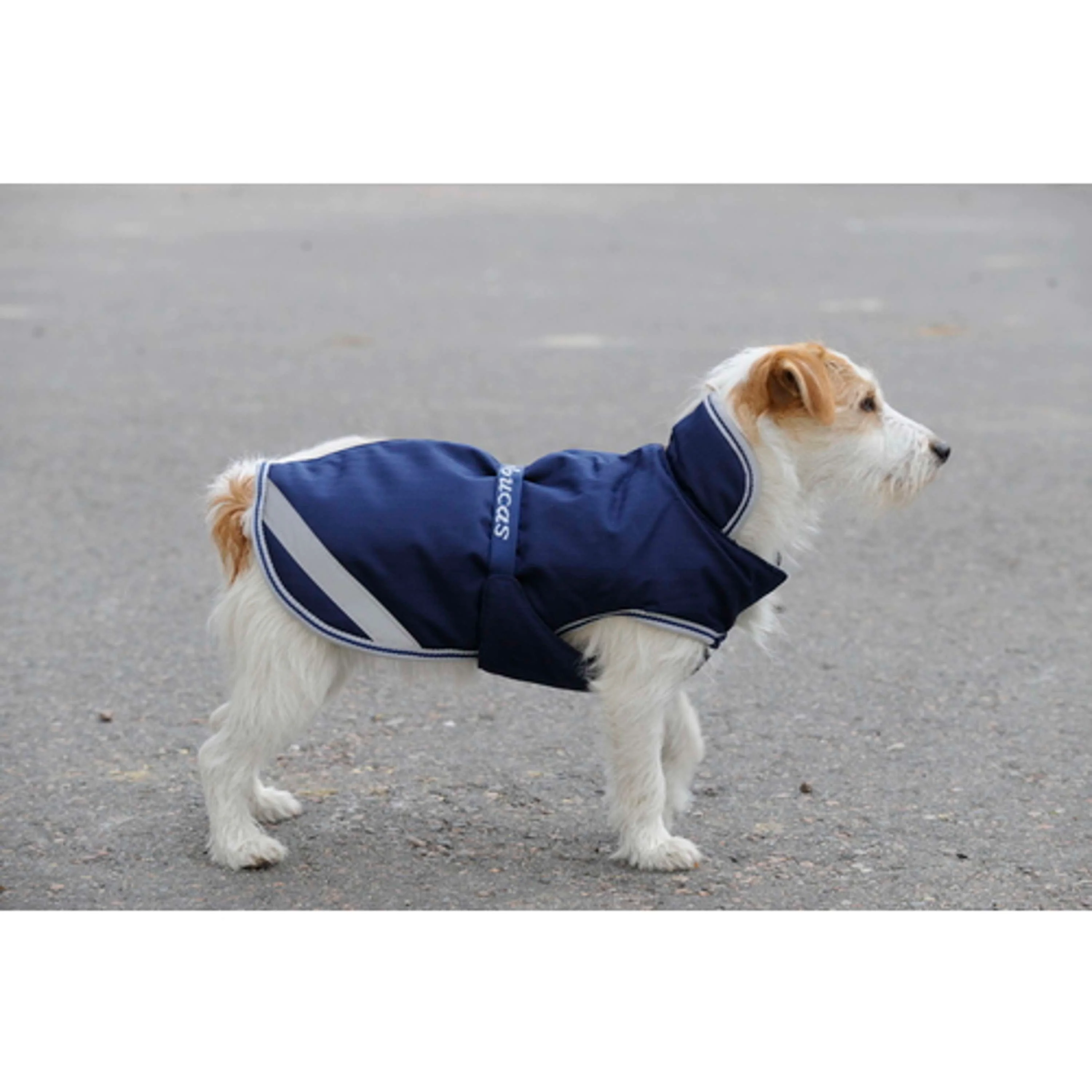 Bucas Freedom Couverture pour Chien 50g Marin - Image 11