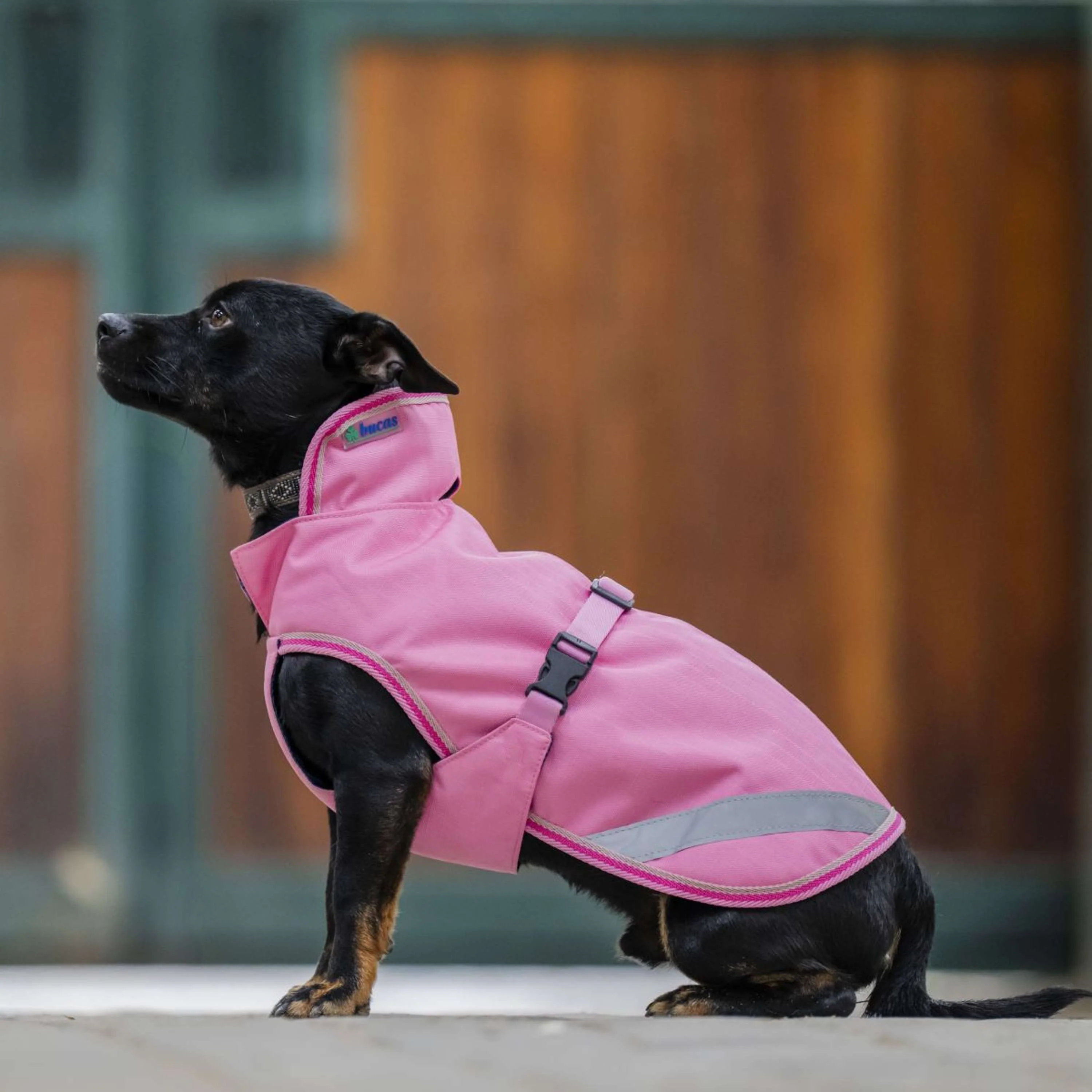 Bucas Freedom Dog Rug Aurora Pink