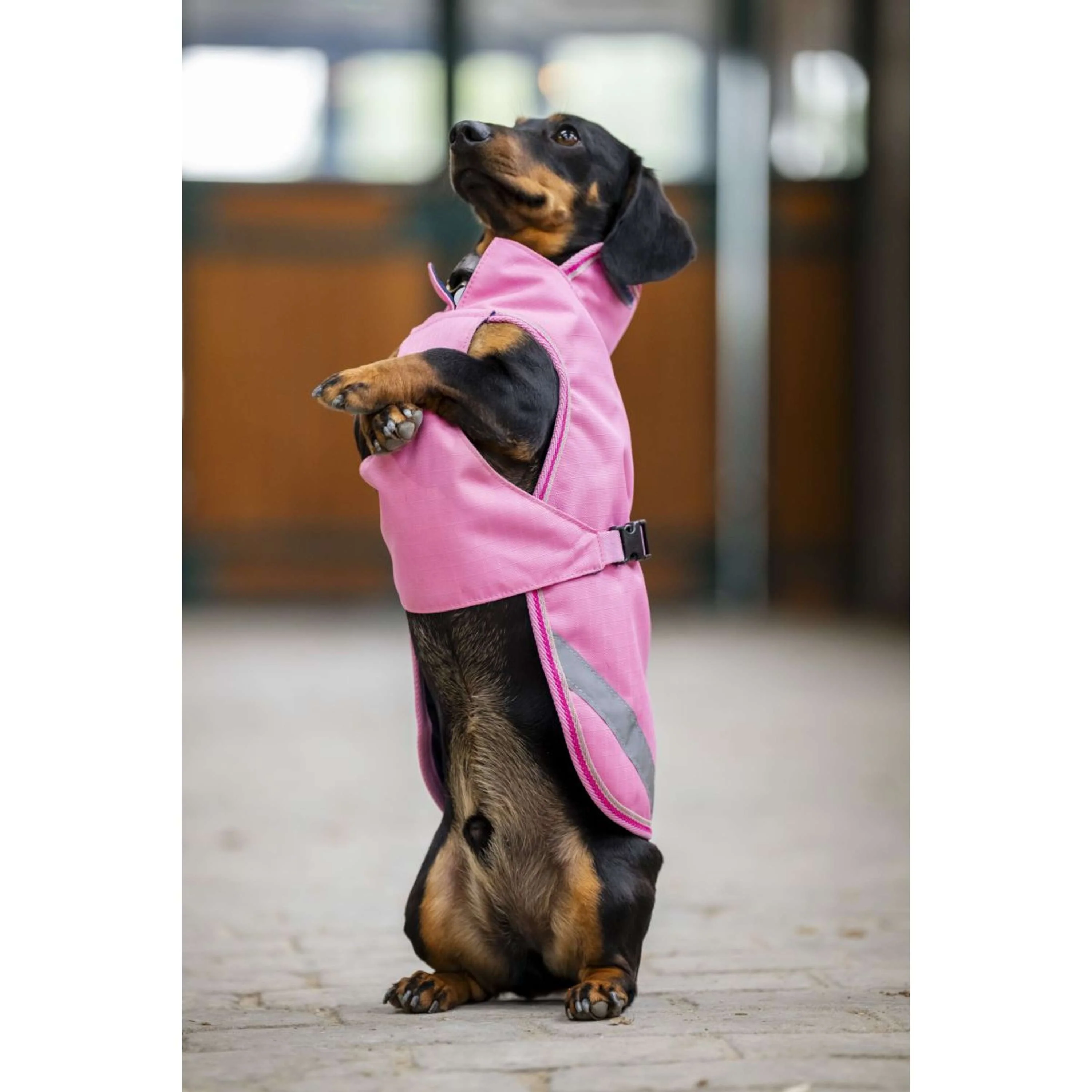 Bucas Freedom Dog Rug Aurora Pink - Image 3