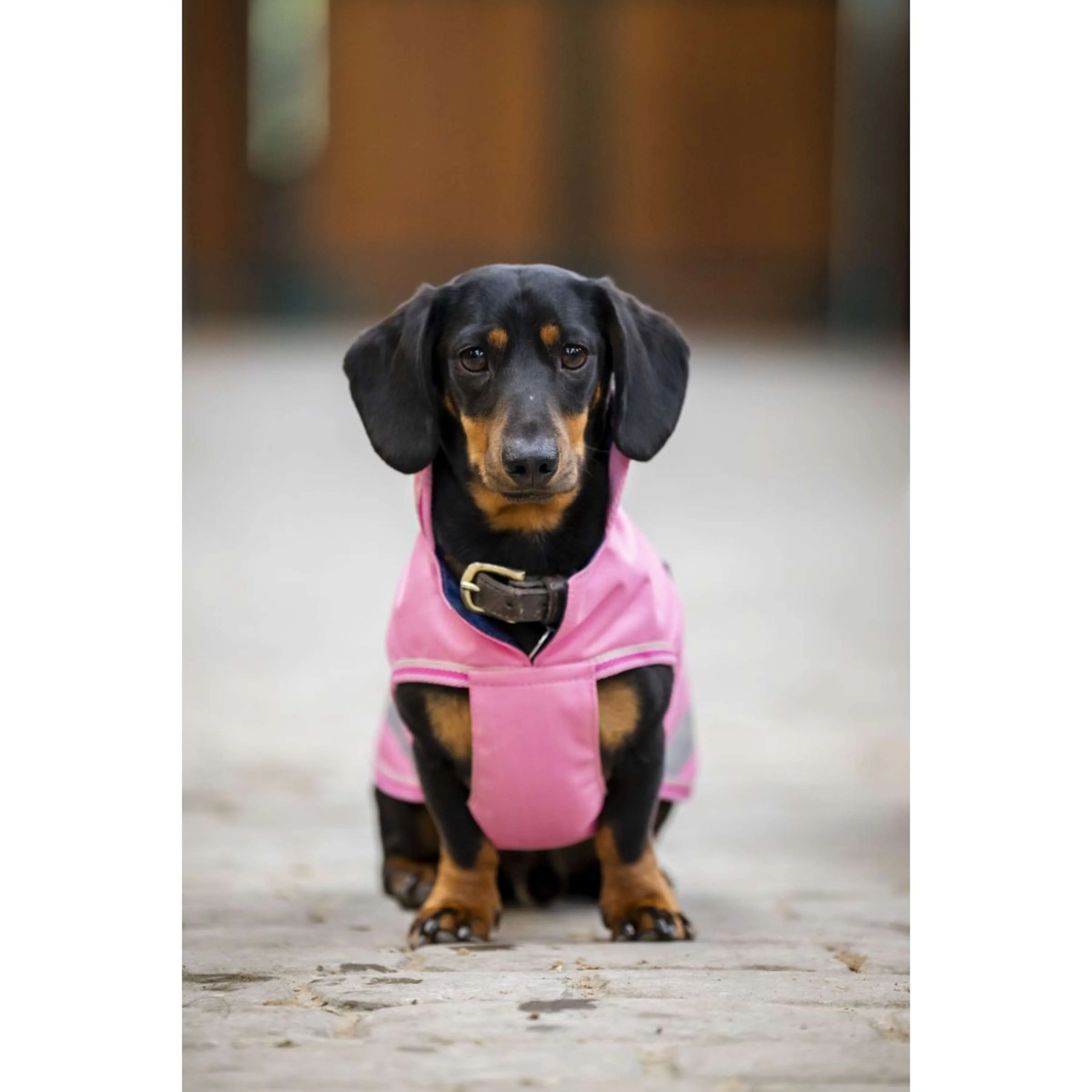 Bucas Freedom Dog Rug Aurora Pink - Image 4