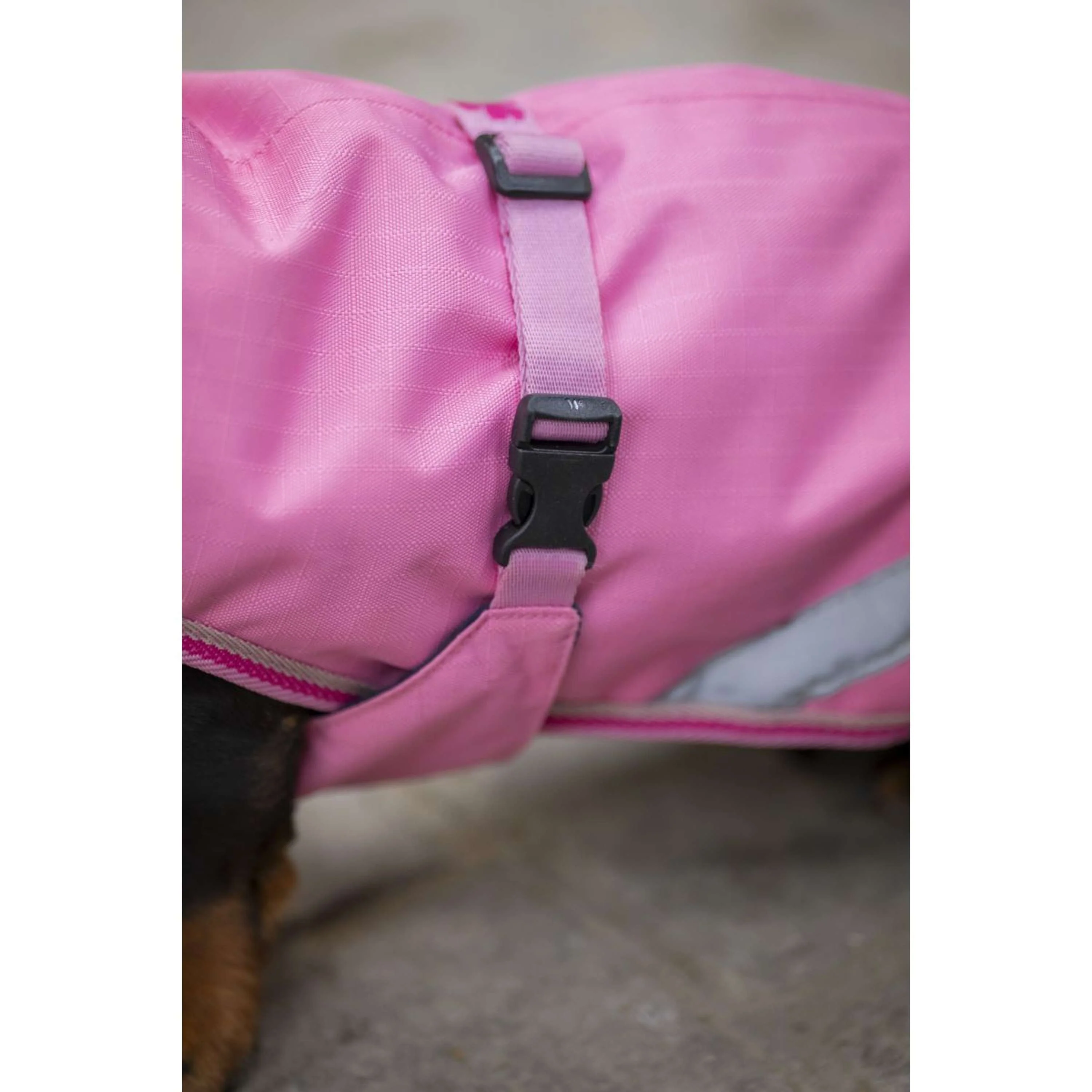 Bucas Freedom Dog Rug Aurora Pink - Image 7
