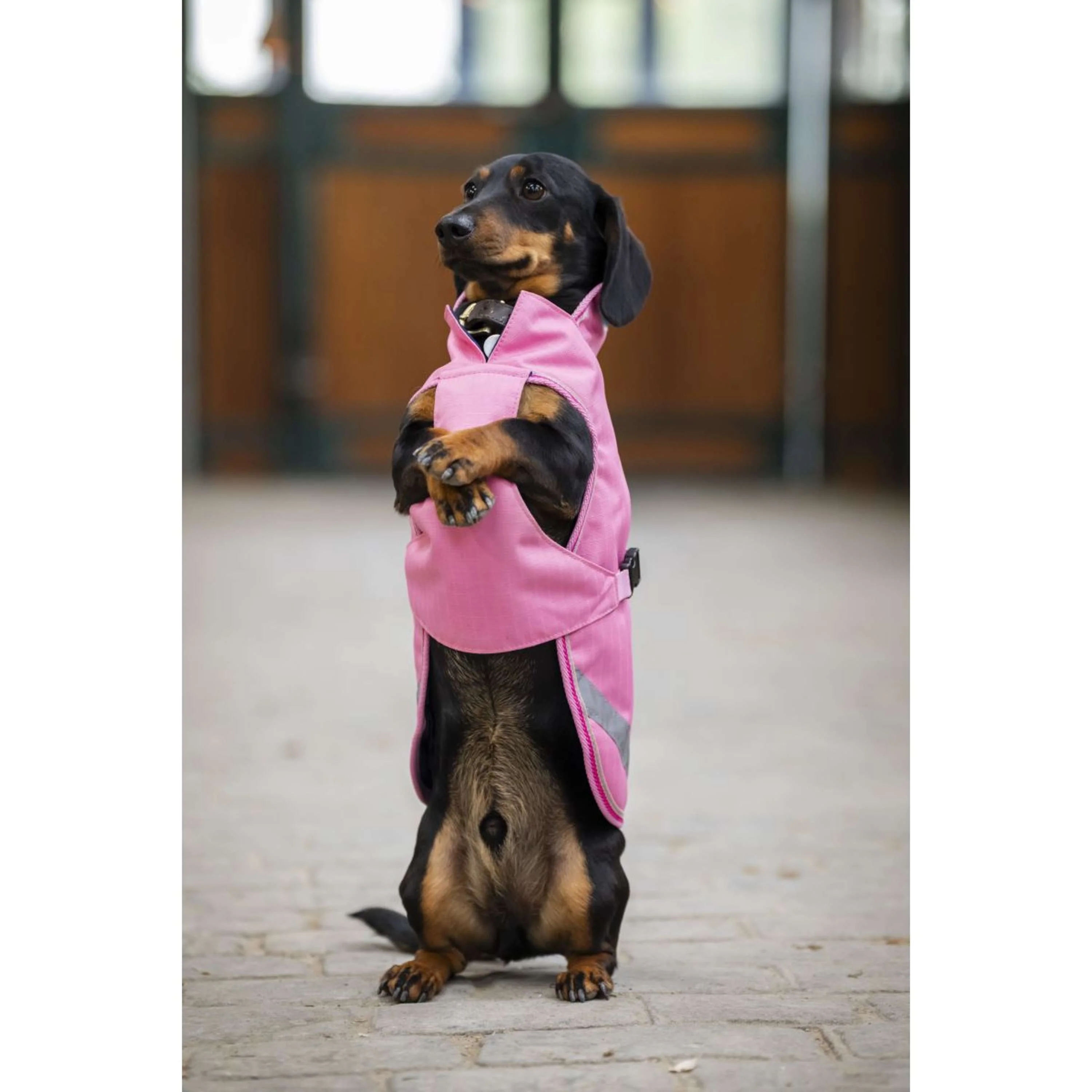 Bucas Freedom Dog Rug Aurora Pink - Image 8