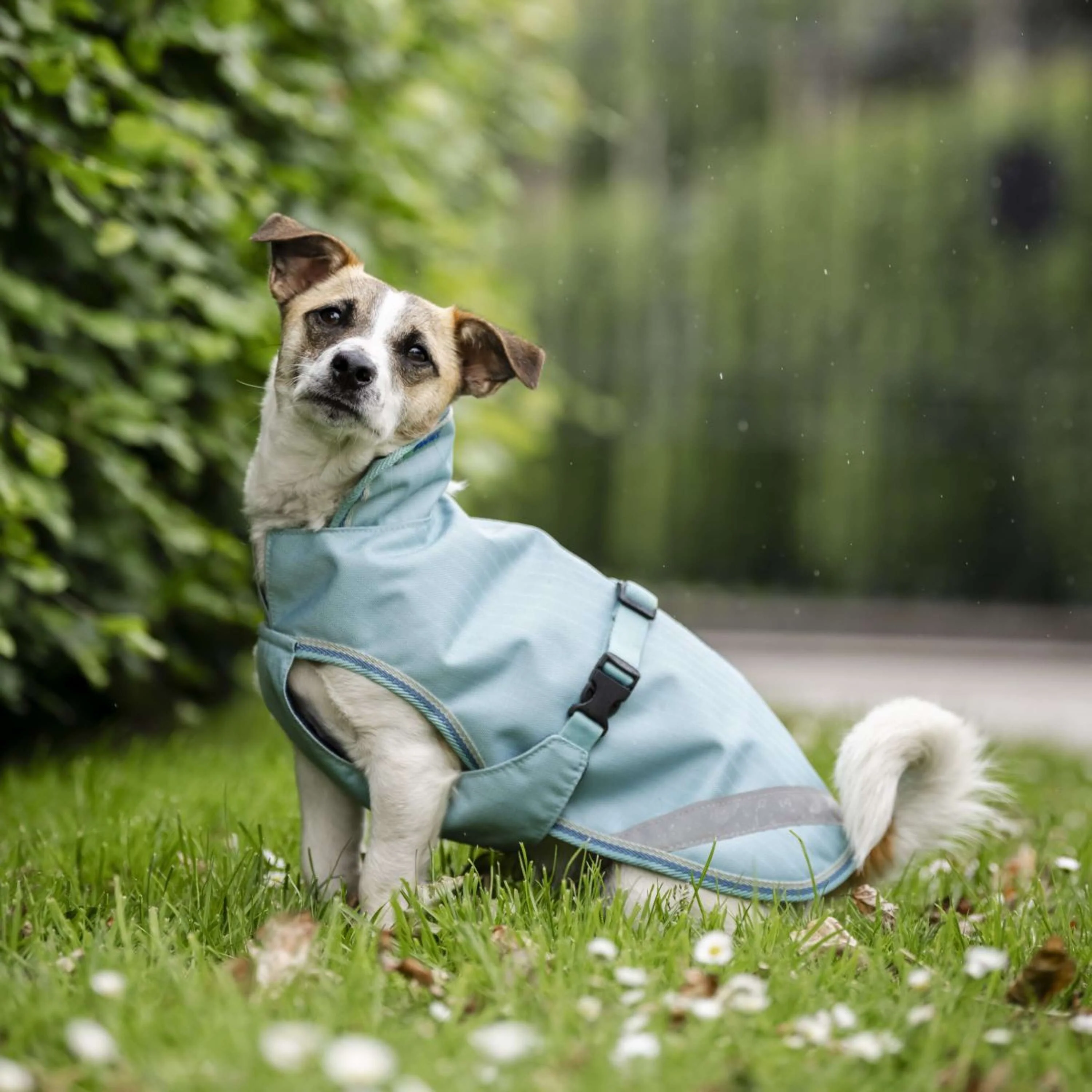 Bucas Freedom Dog Rug Turquoise - Image 10