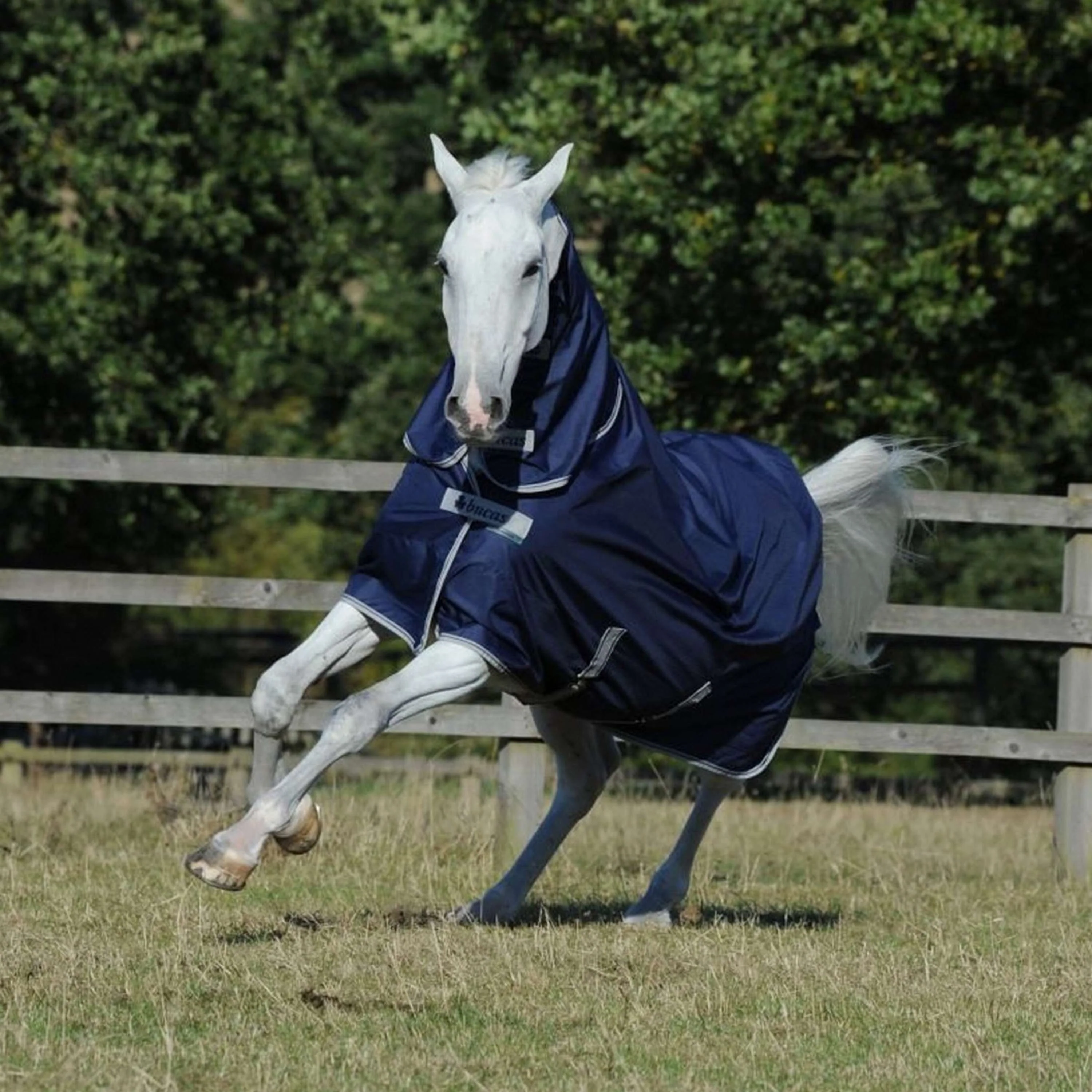 Bucas Freedom Turnout Full Neck 150g Navy - Image 2