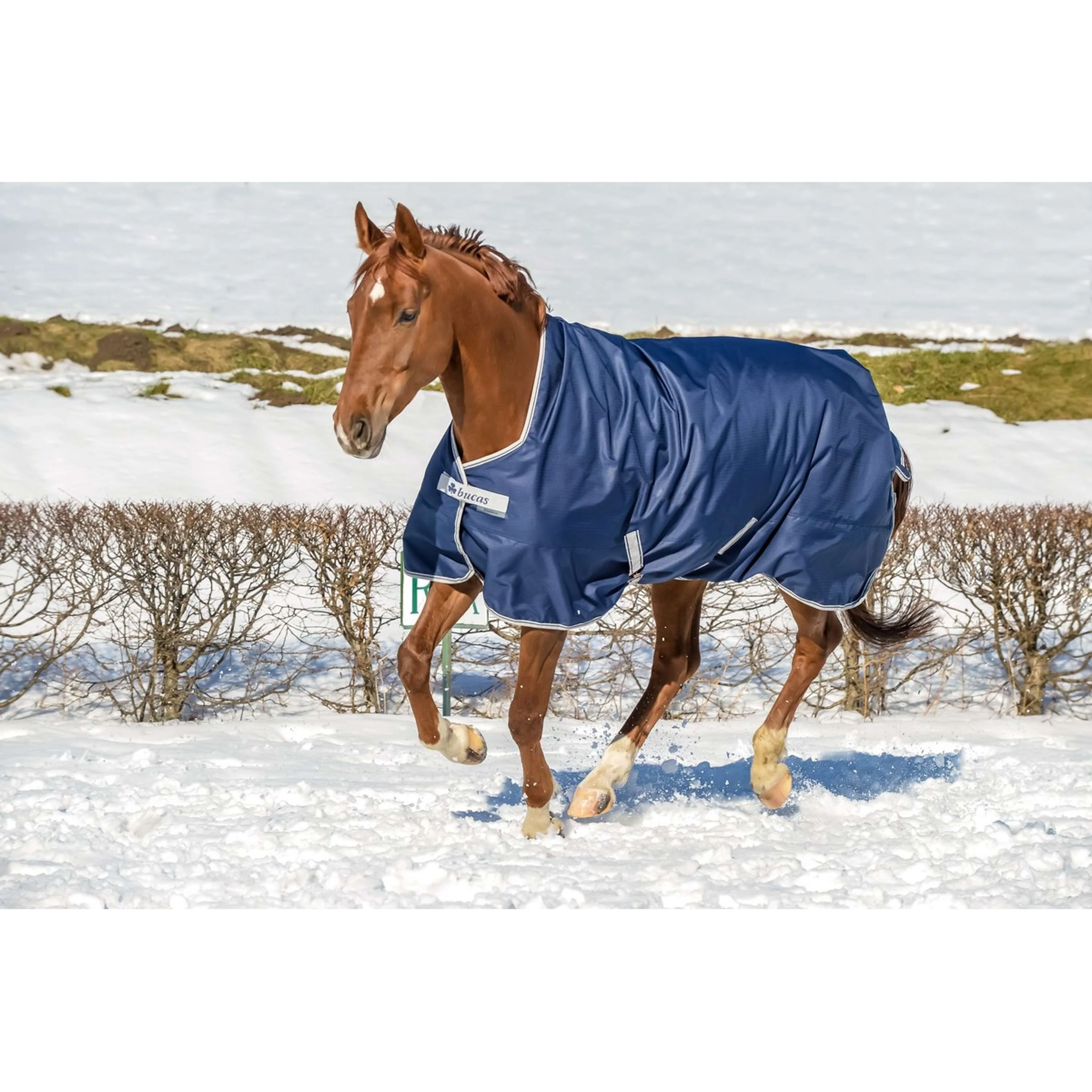 Bucas Freedom Turnout High Neck 150g Marin/Argente - Image 10