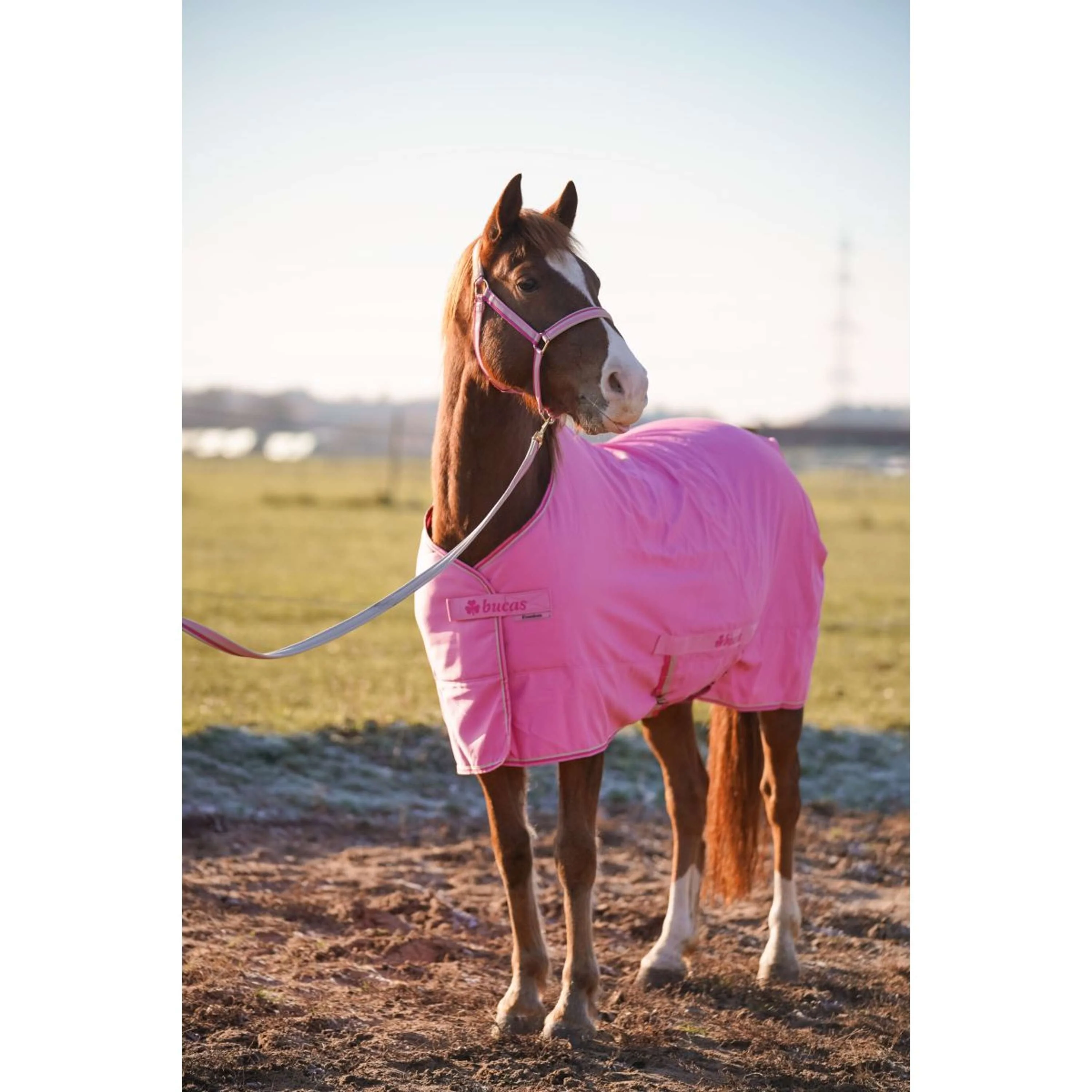 Bucas Freedom Turnout Light 0g Aurora Pink - Image 6