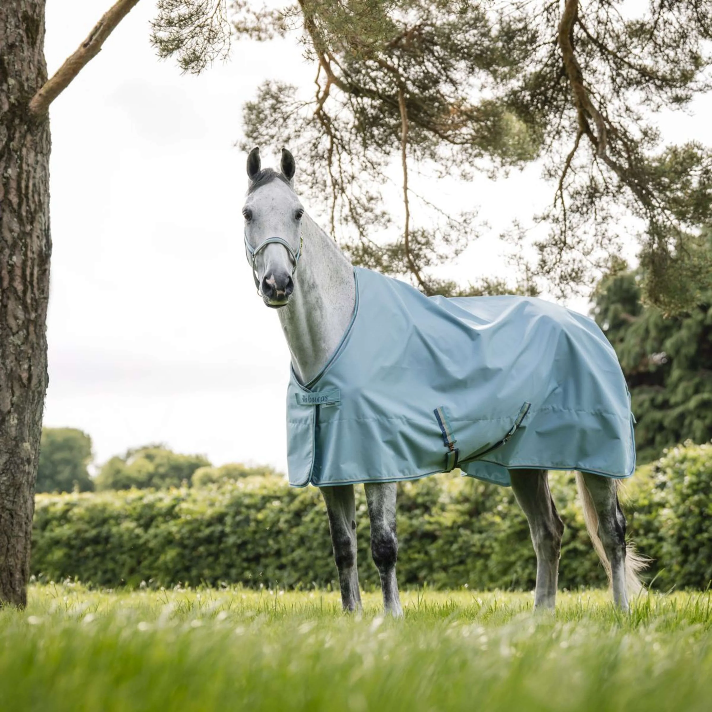 Bucas Freedom Turnout Light 0g Turquoise - Image 2