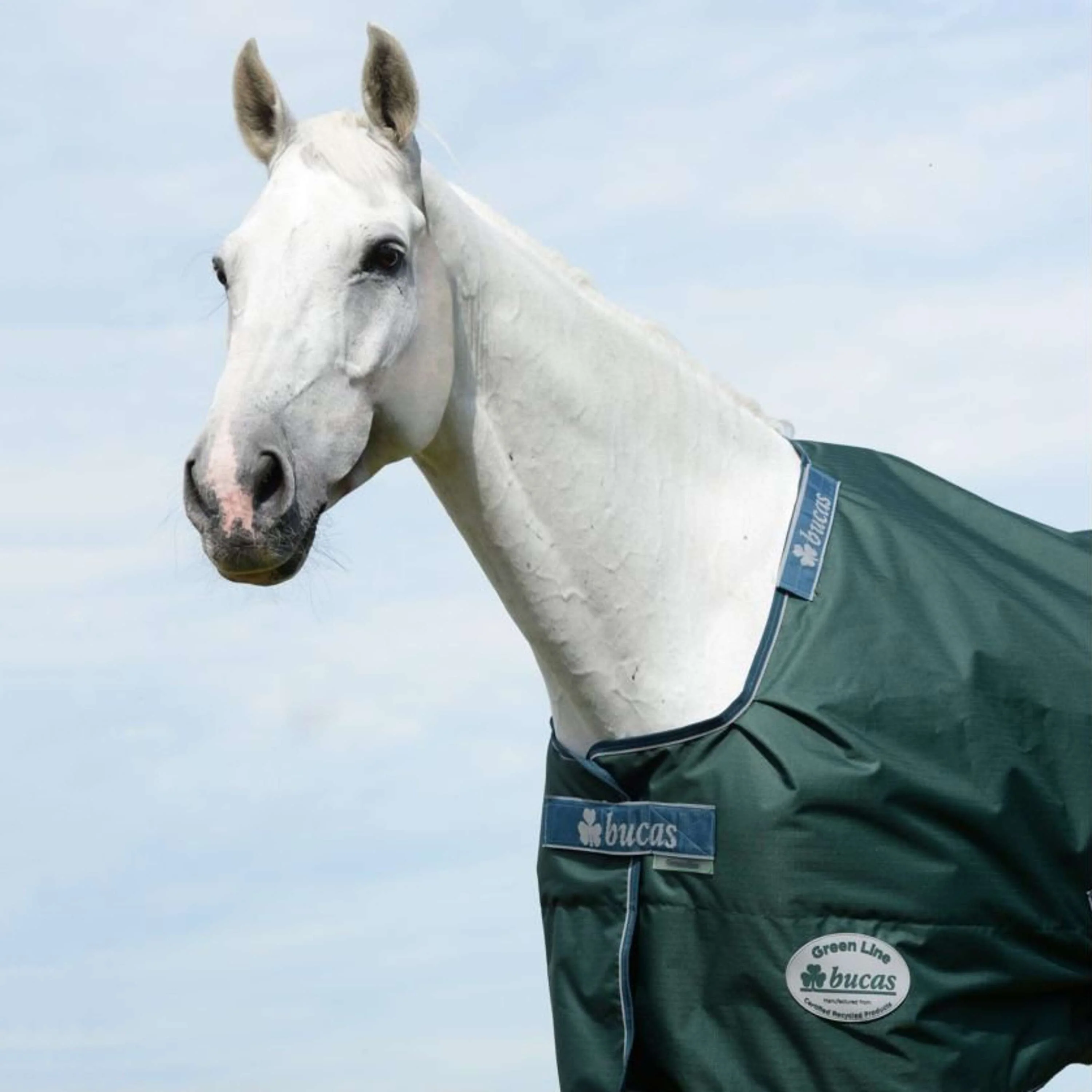 Bucas Green-Line Turnout 300g Vert - Image 3