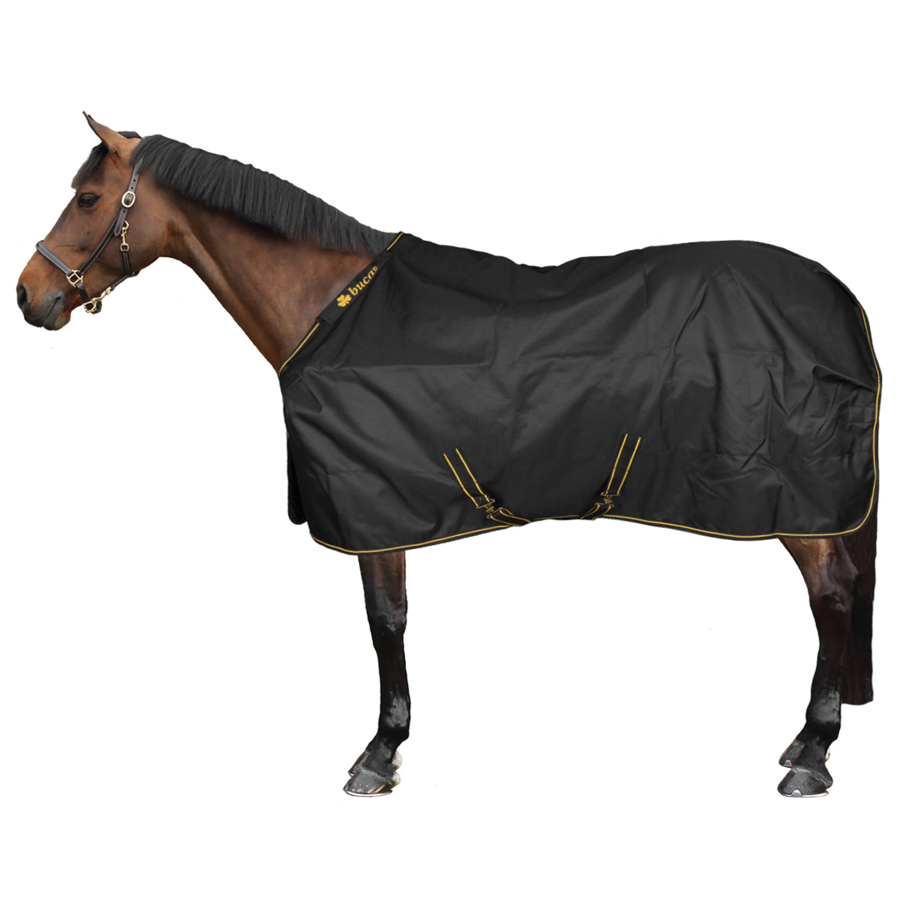 Bucas Irish Turnout 250g Noir/Or - Image 5