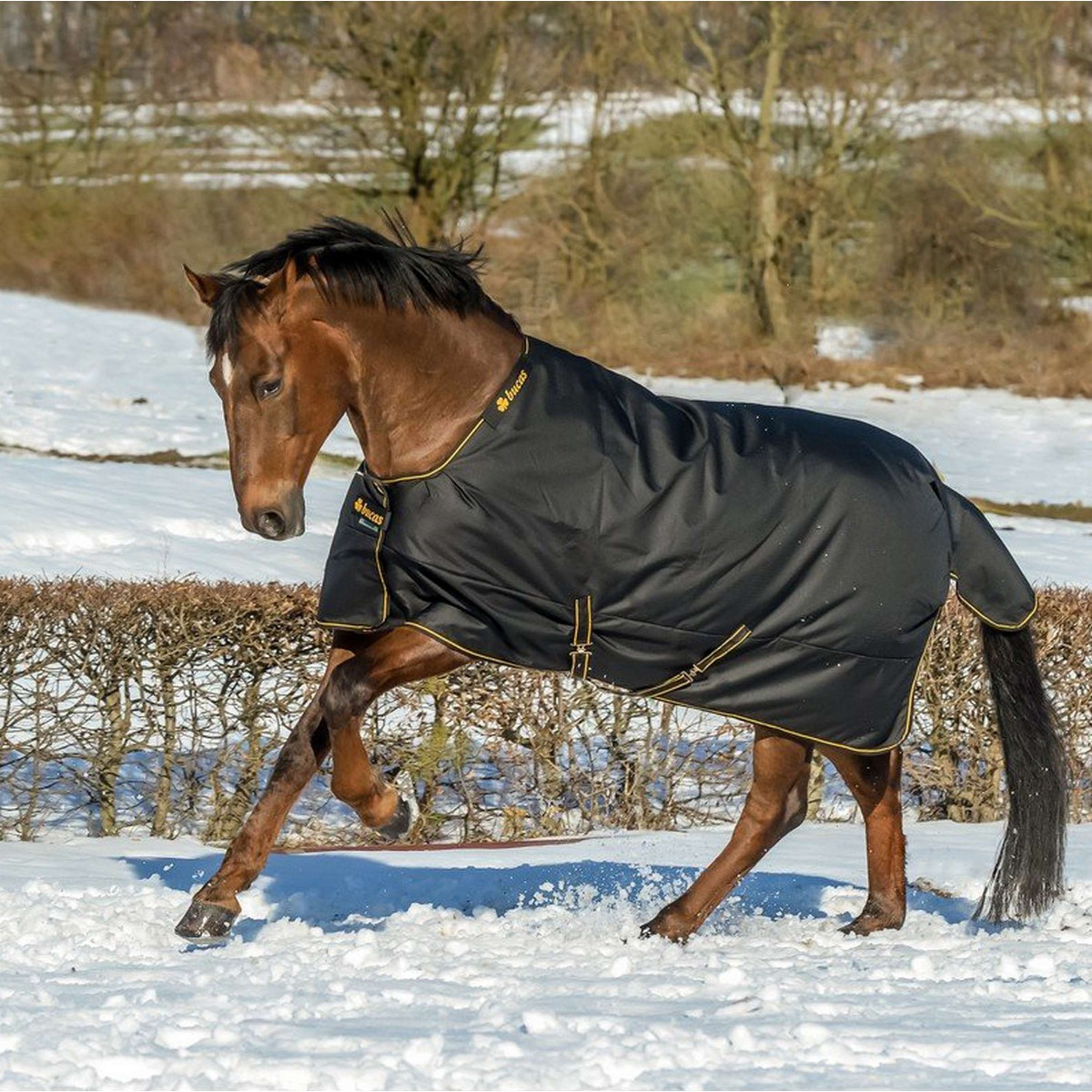 Bucas Irish Turnout Extra 300g Noir/Or - Image 3