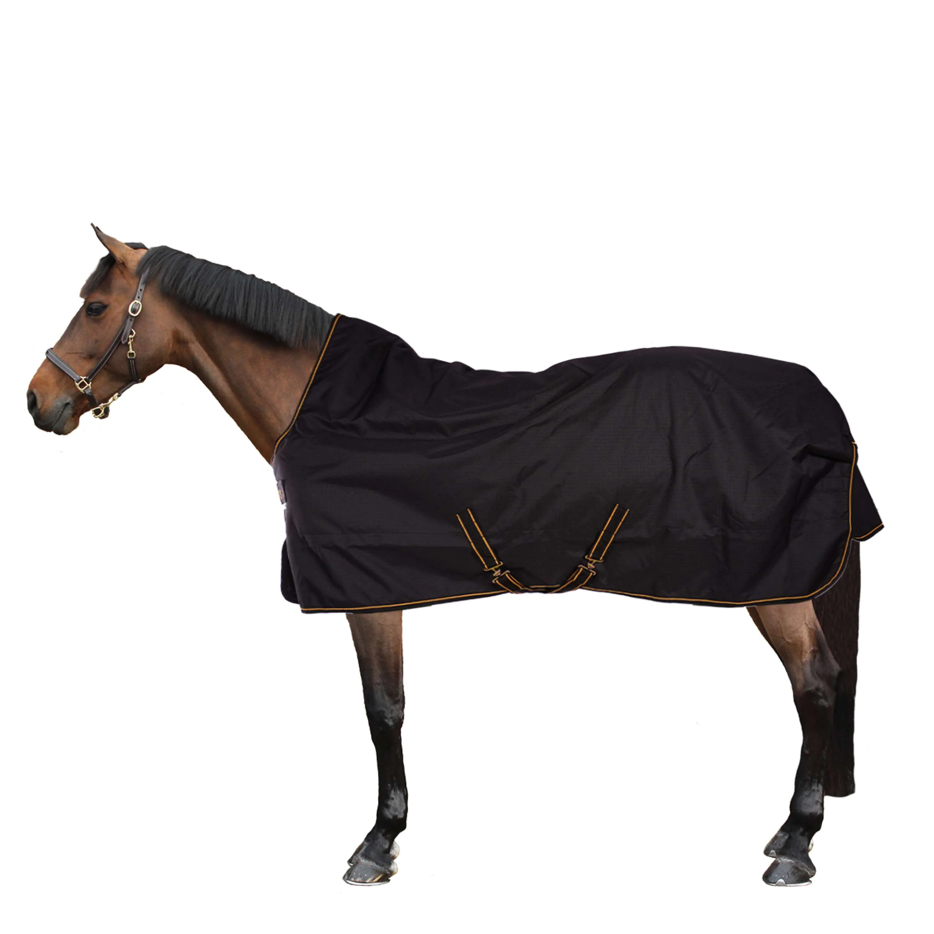 Bucas Irish Turnout Extra High Neck 300g Noir/Or - Image 2