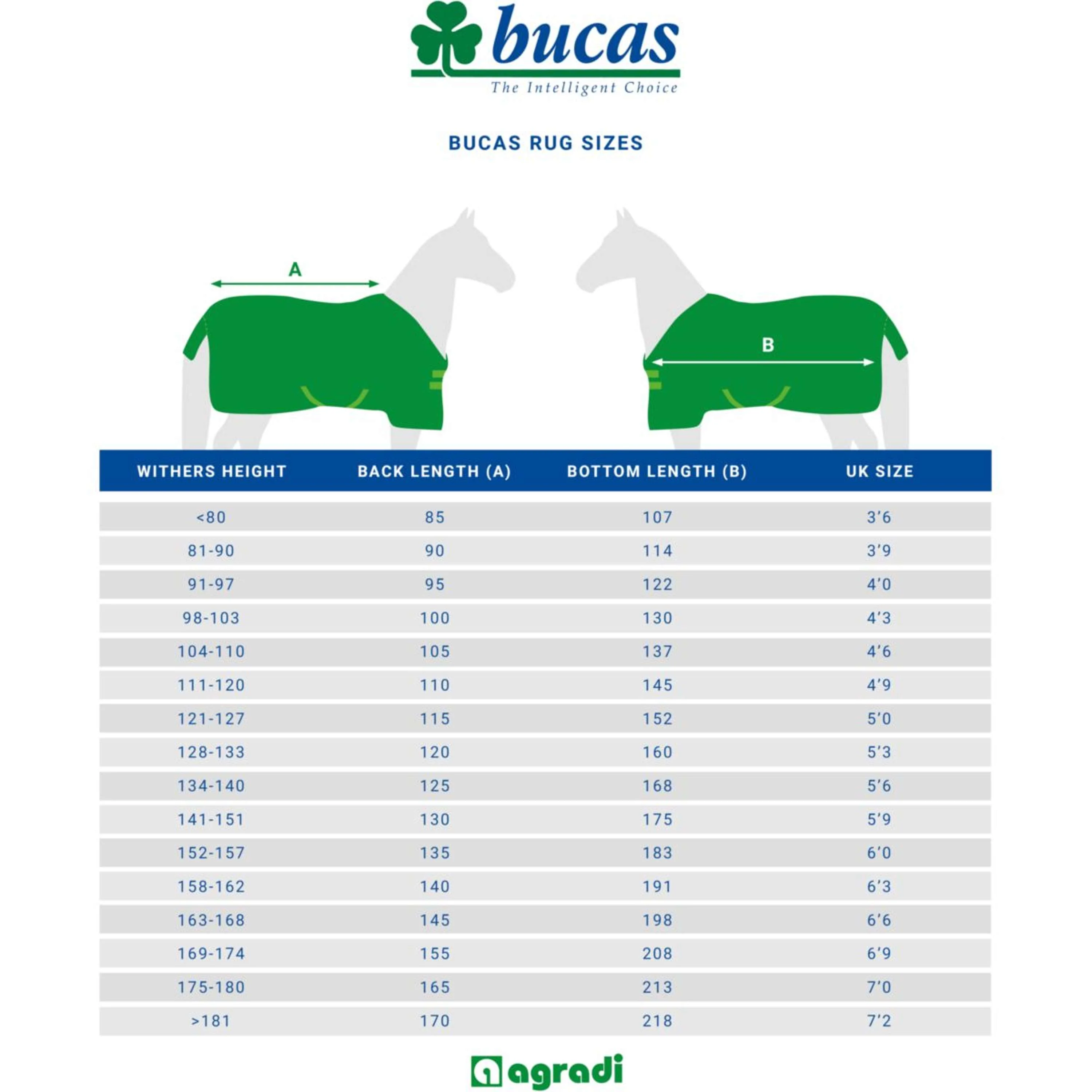 Bucas Marcheur Marin/Argente - Image 10