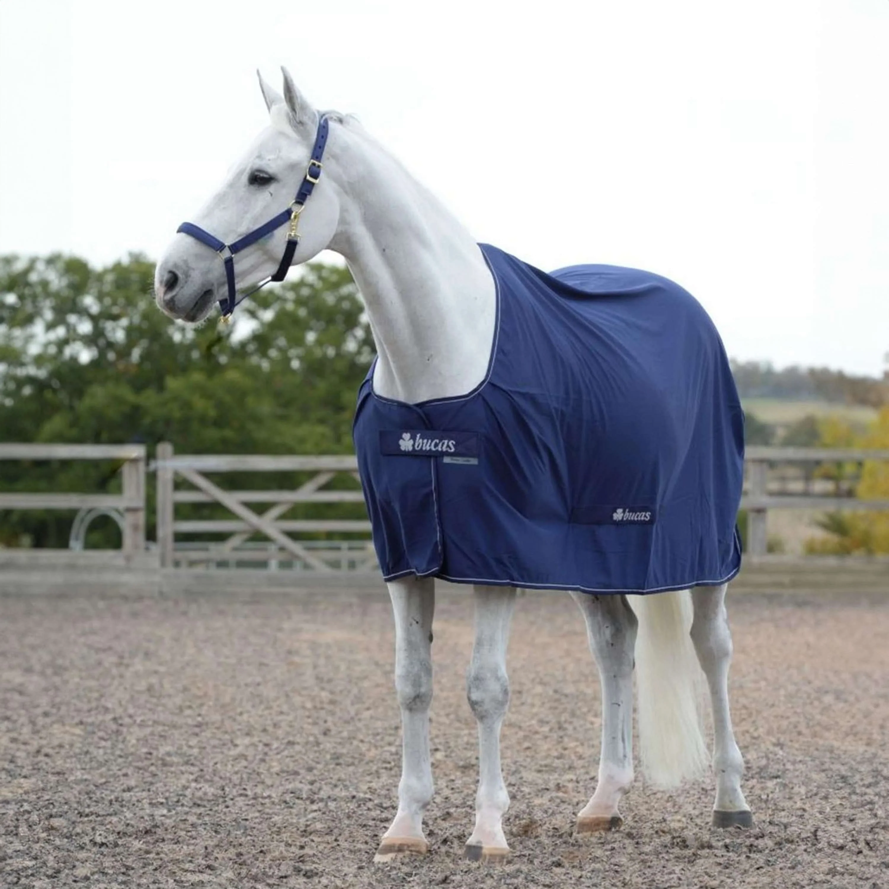 Bucas Power Cooler Marin/Argente - Image 2