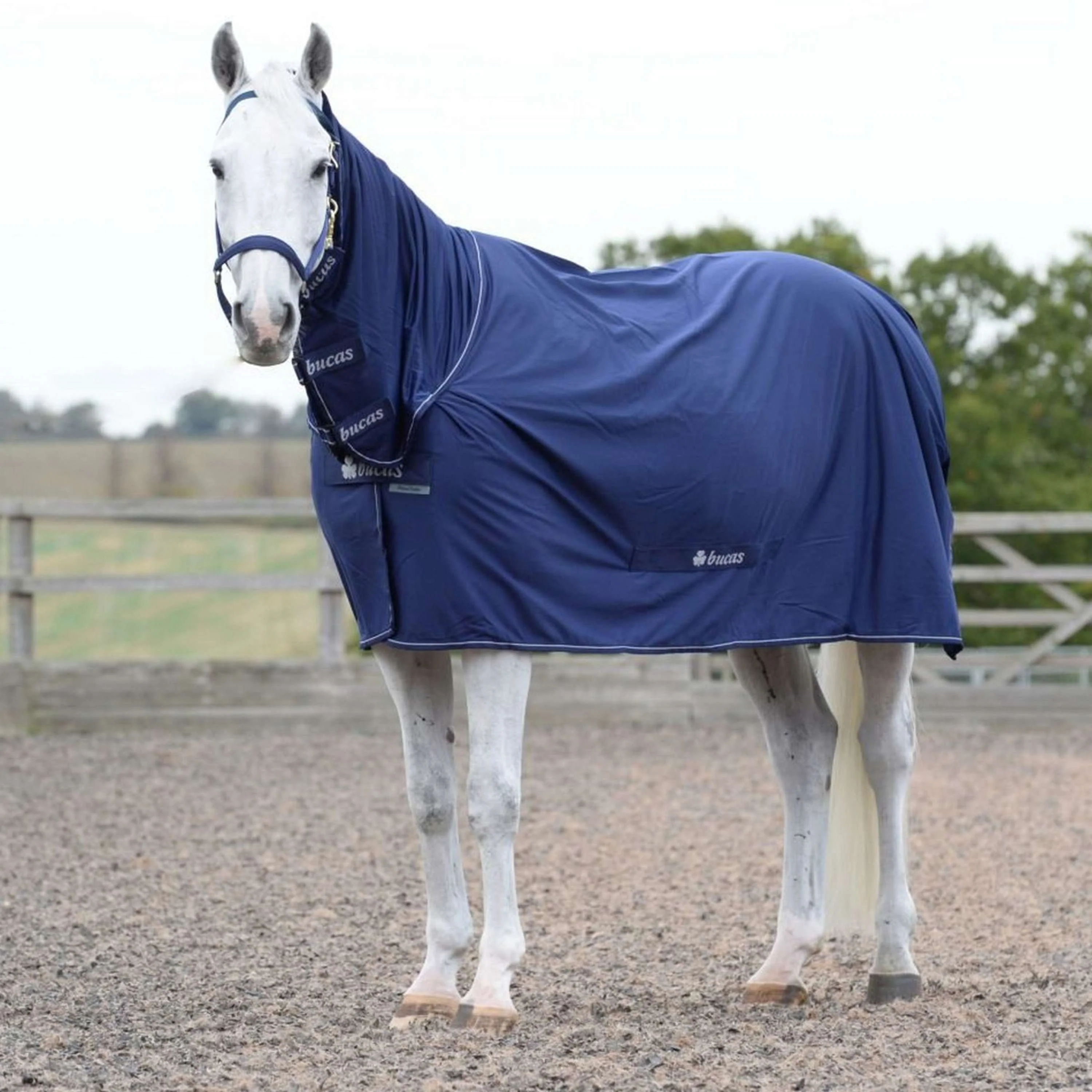 Bucas Power Cooler & Neck Marin/Argente
